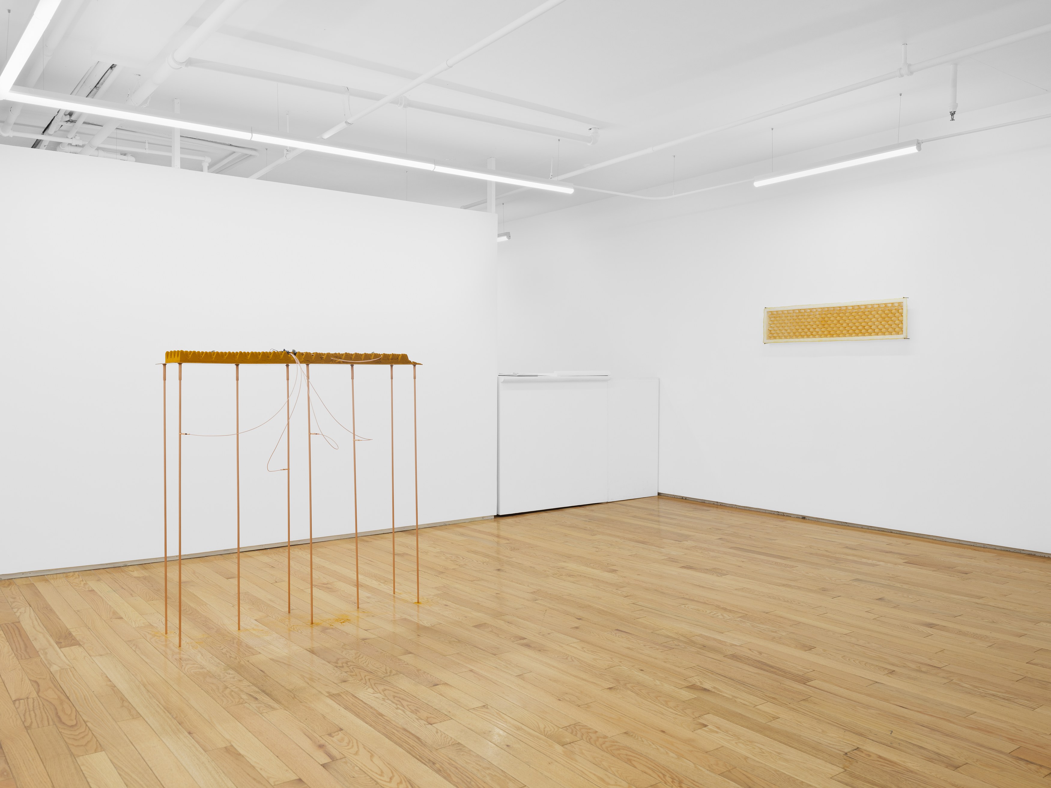 Hings Lim, Throughput at Island, photo 4