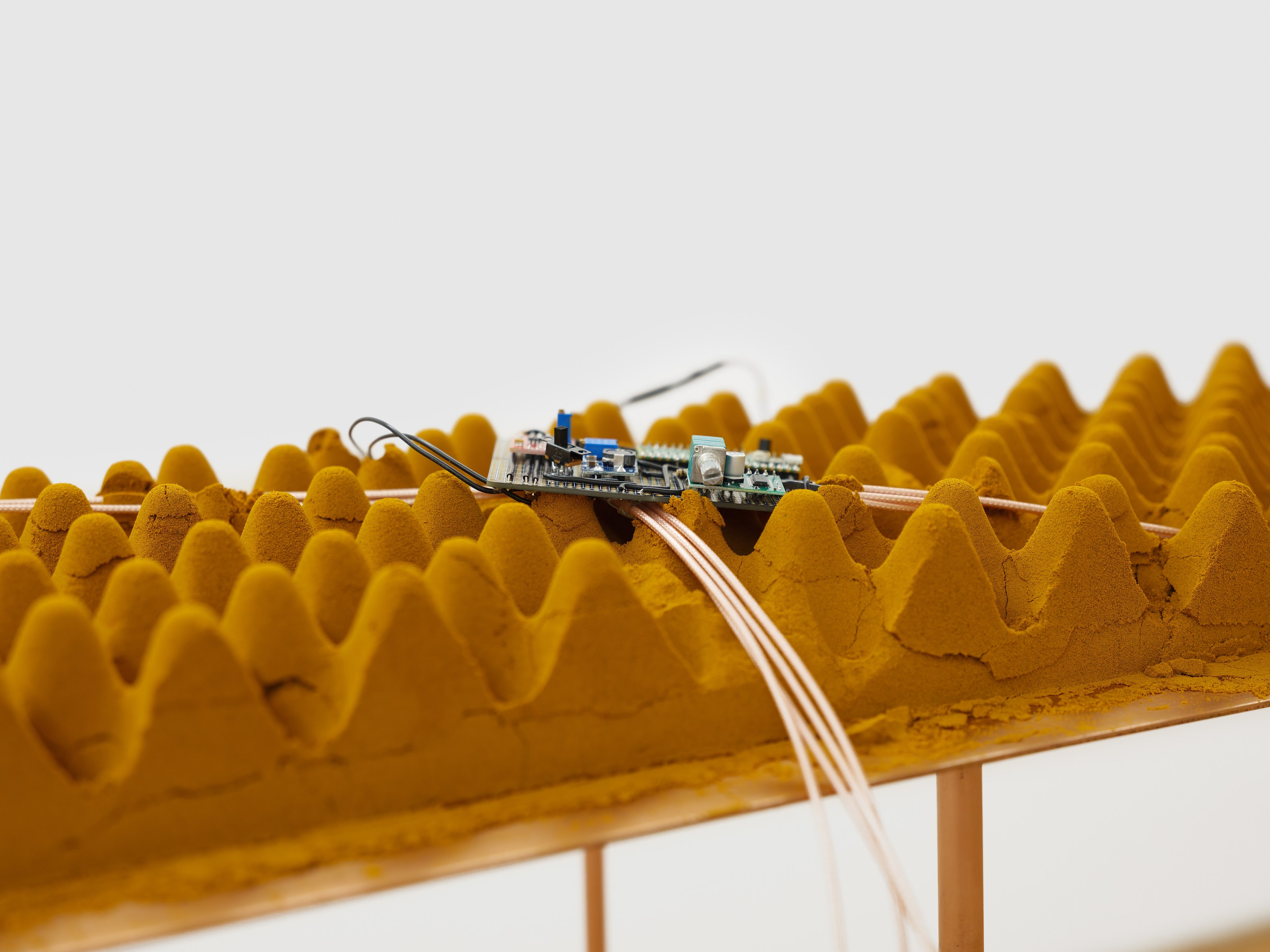 Hings Lim, Throughput at Island, photo 19