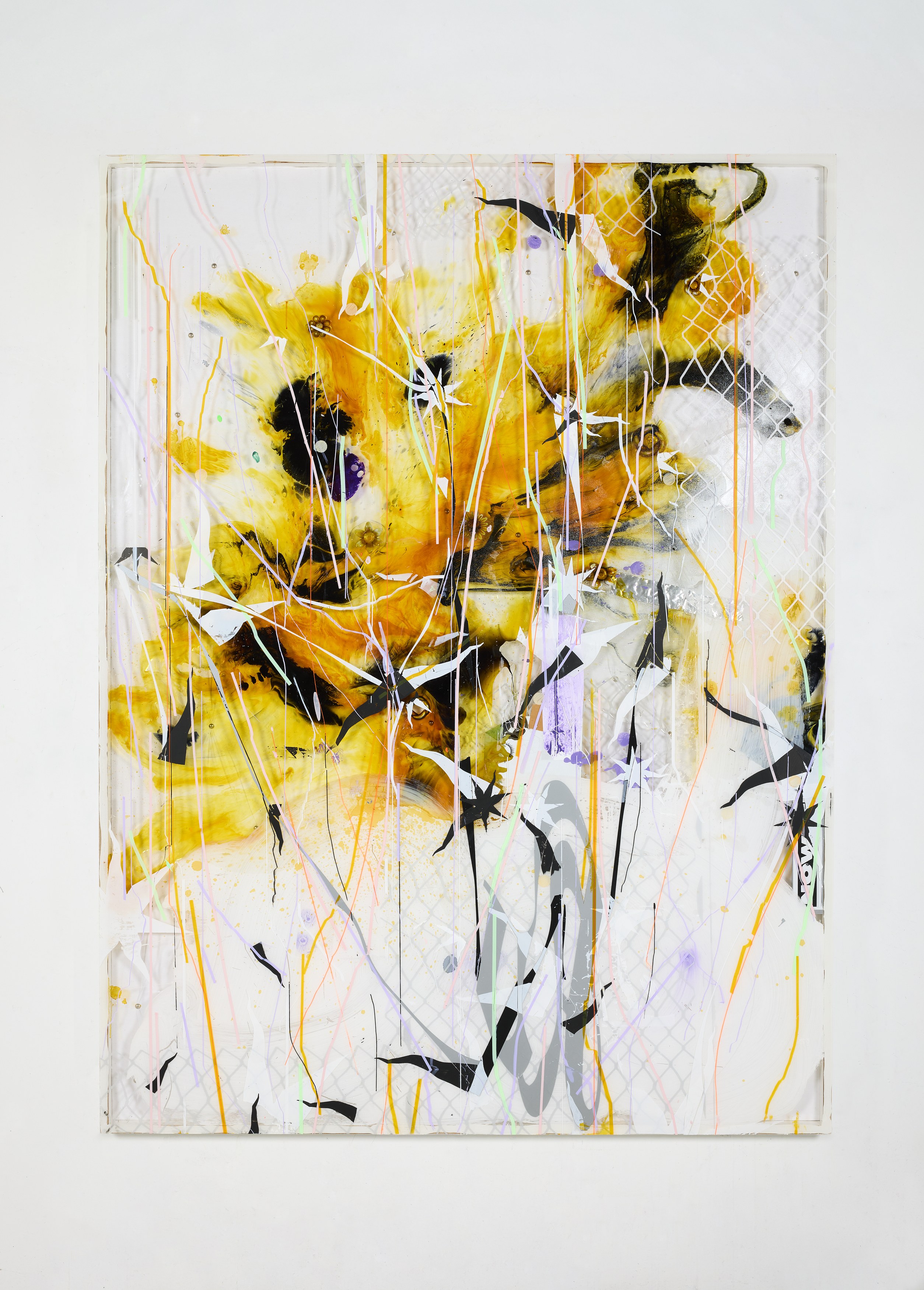 David Douard, Sol LeWitt, Untitled at Okey Dokey Konrad Fischer, photo 30