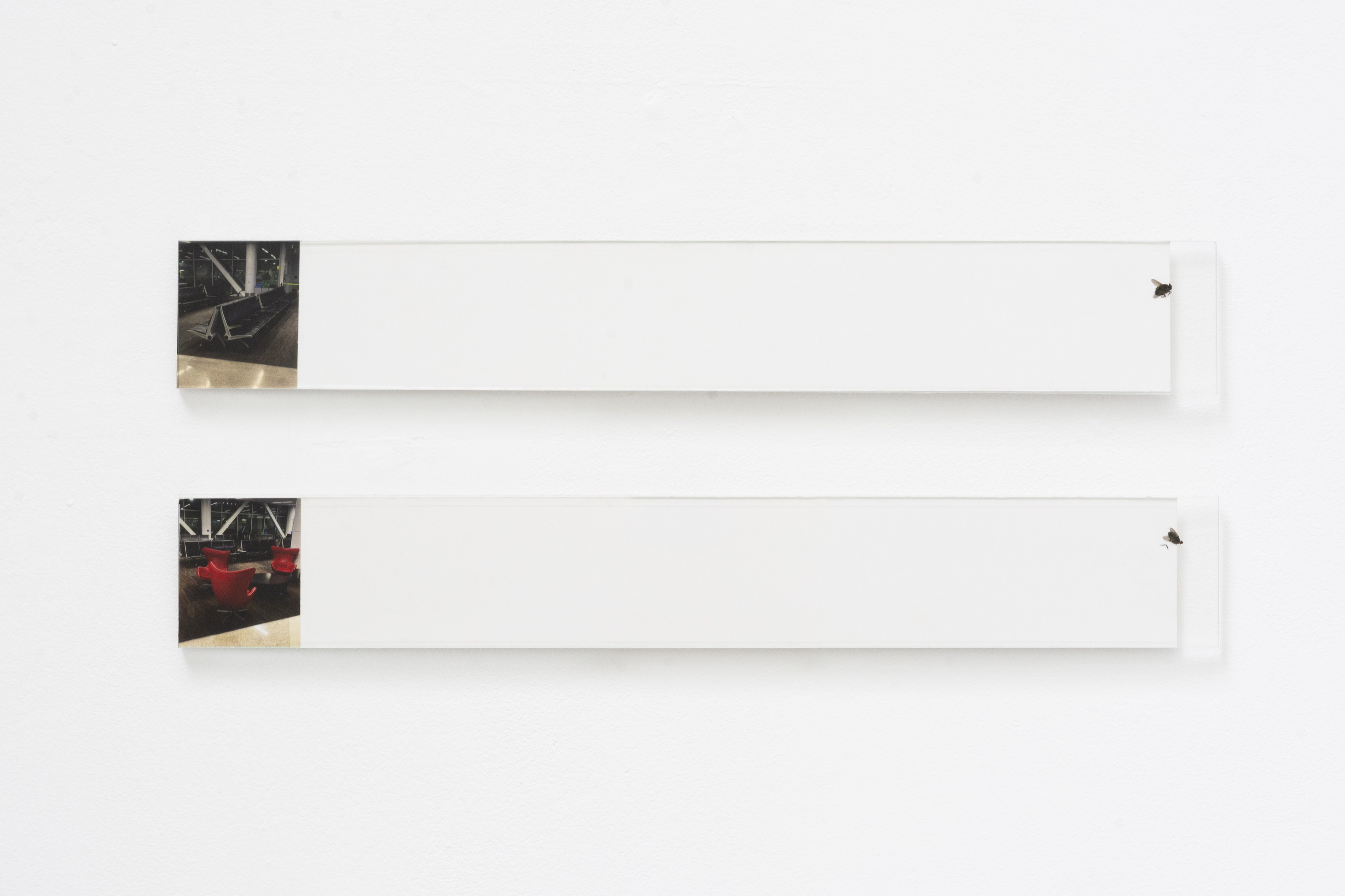 Leandro Katz, Adrien Lagrange, Temps Mort at La Galerie du Crous de Paris, photo 12