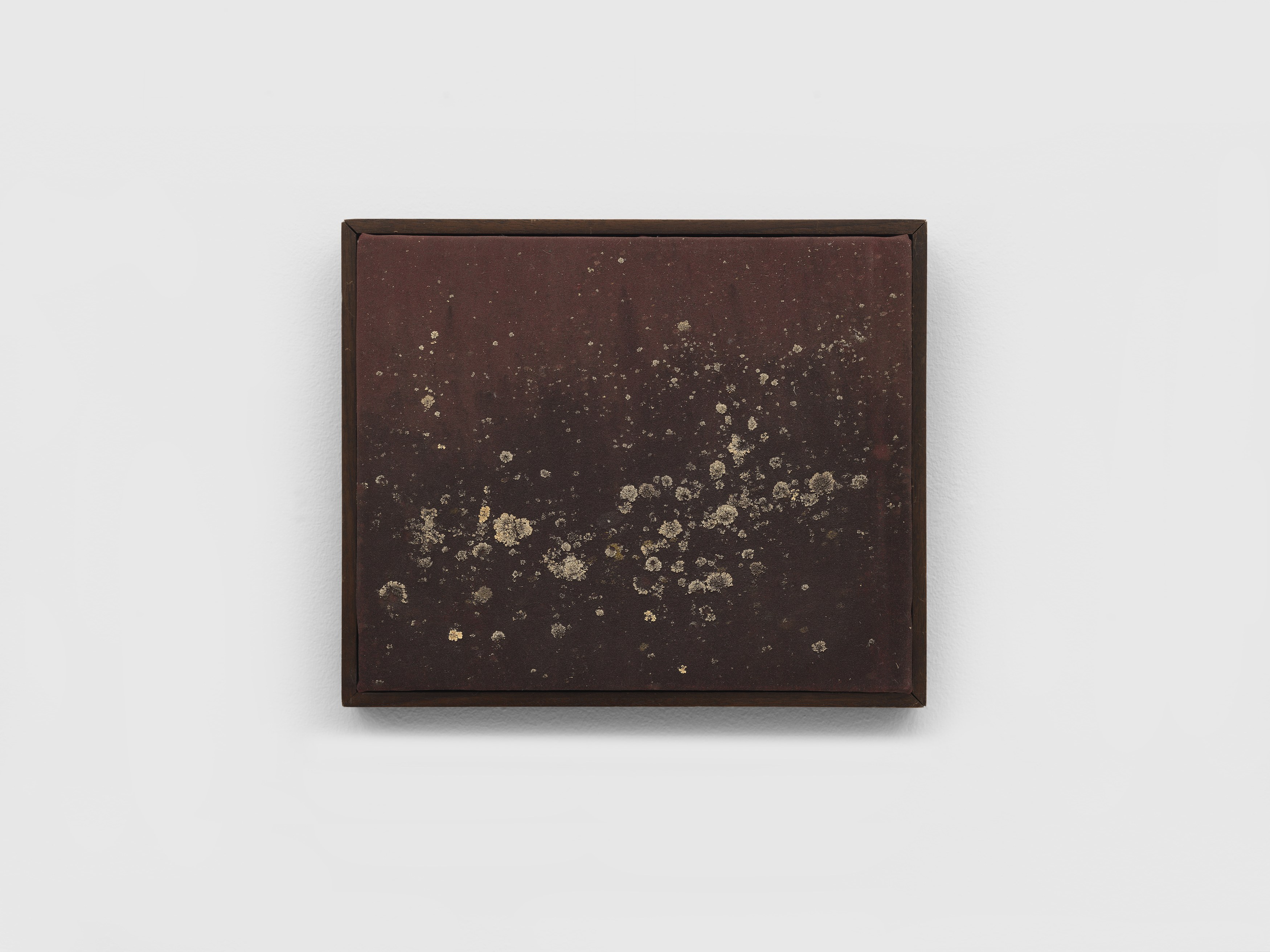 Nick Hoecker, image 29 of 70