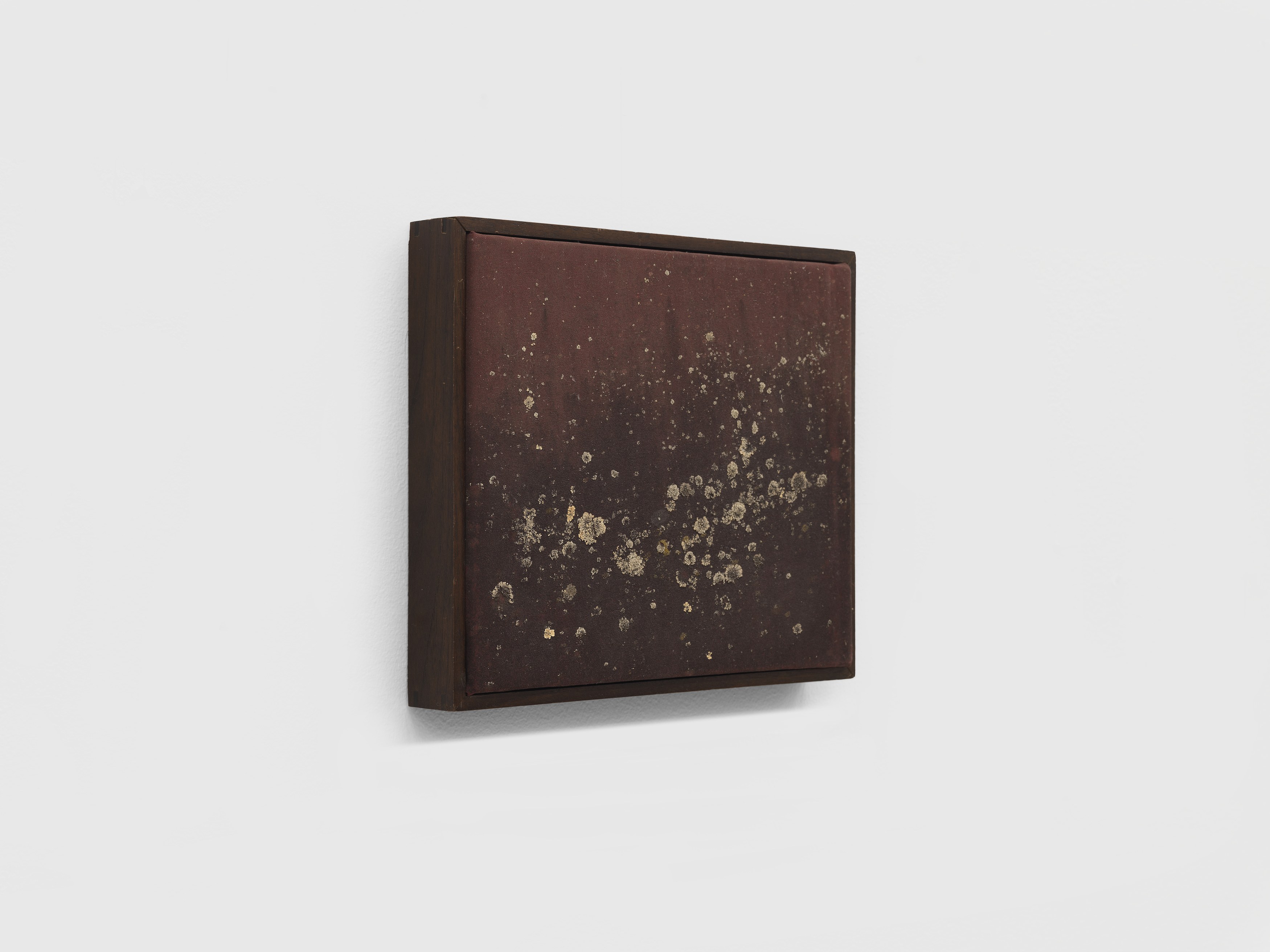 Nick Hoecker, image 30 of 70