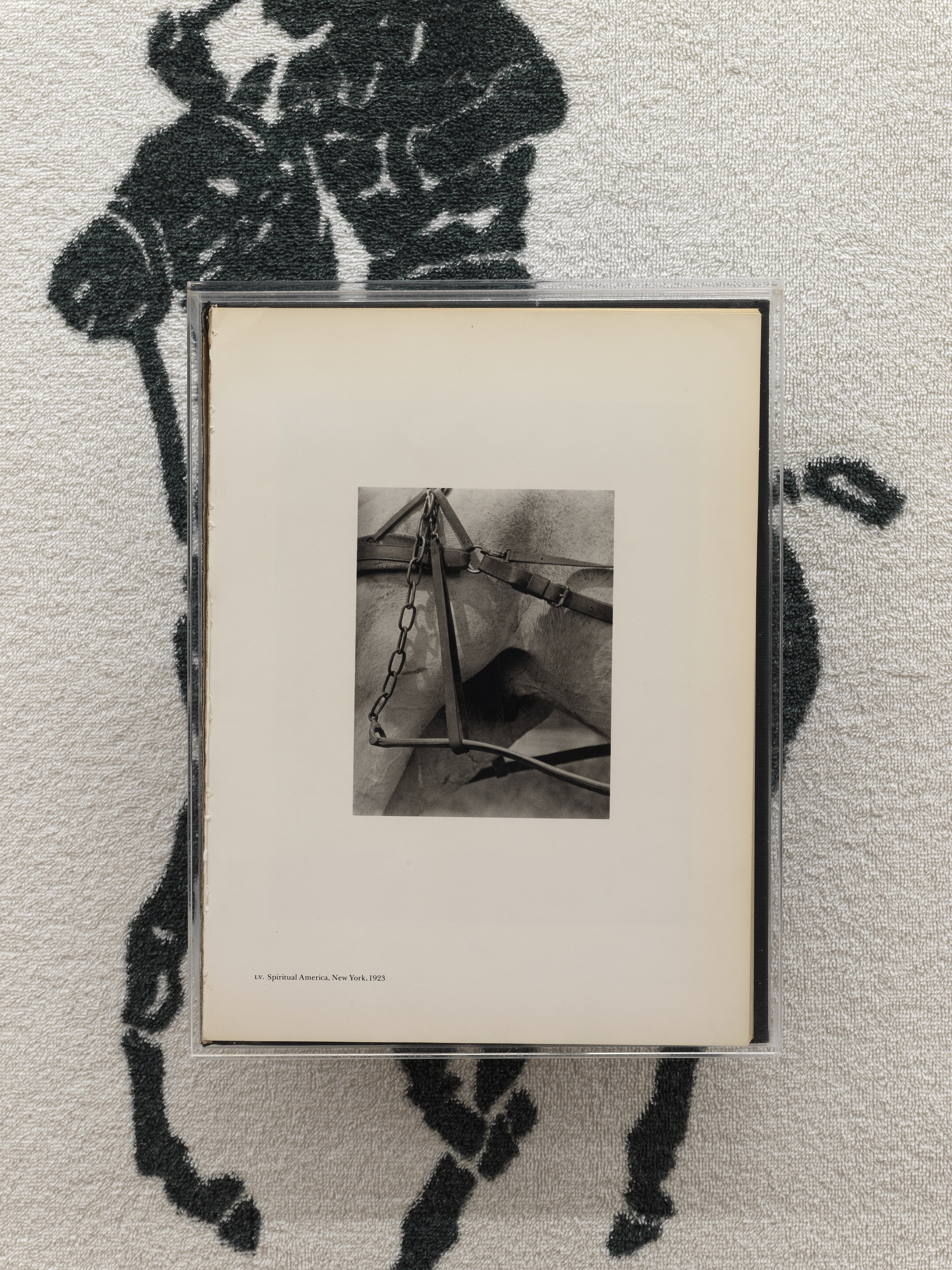 Nick Hoecker, image 44 of 70