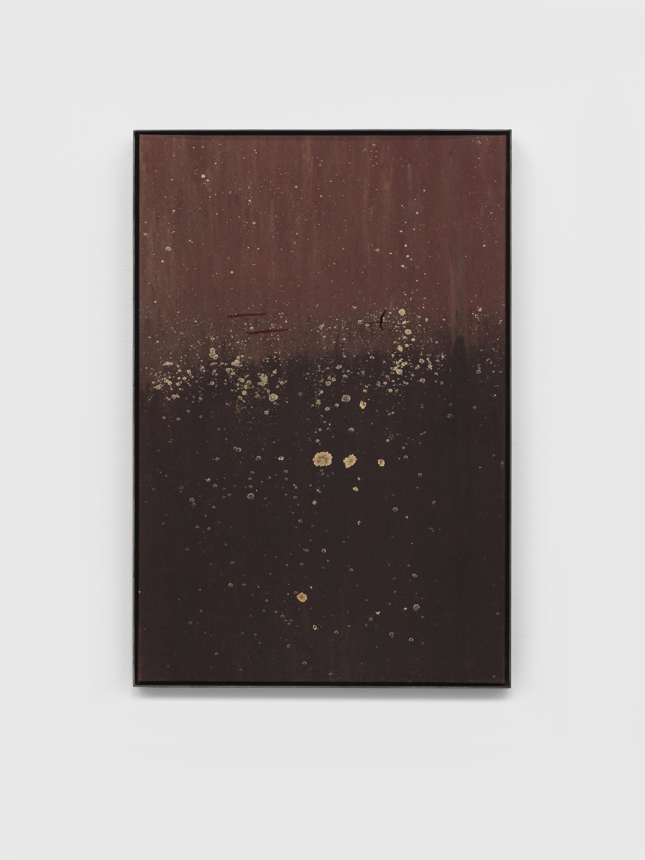 Nick Hoecker, image 59 of 70