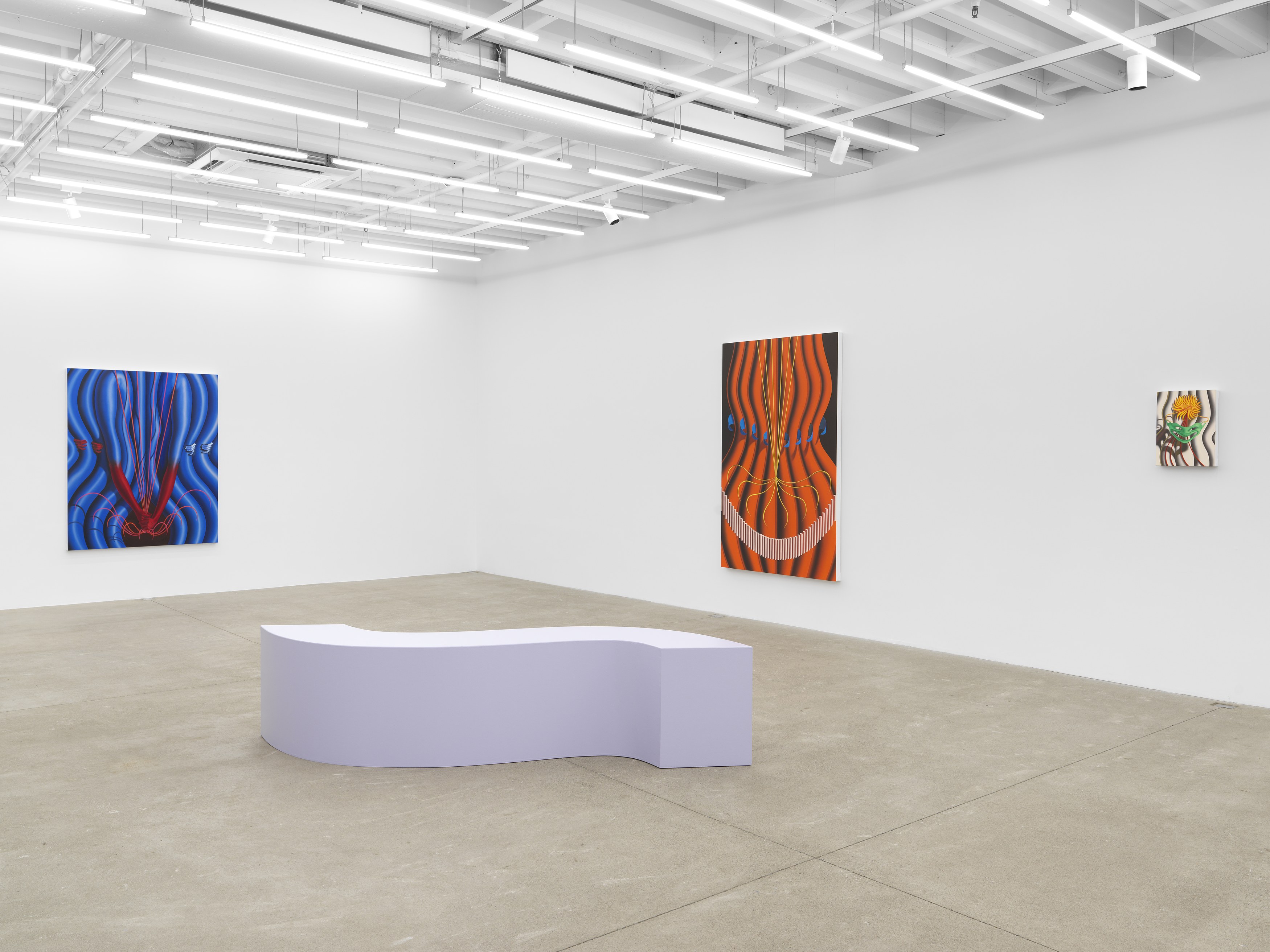 Sascha Braunig, Viewing Room V at Magenta Plains, photo 2