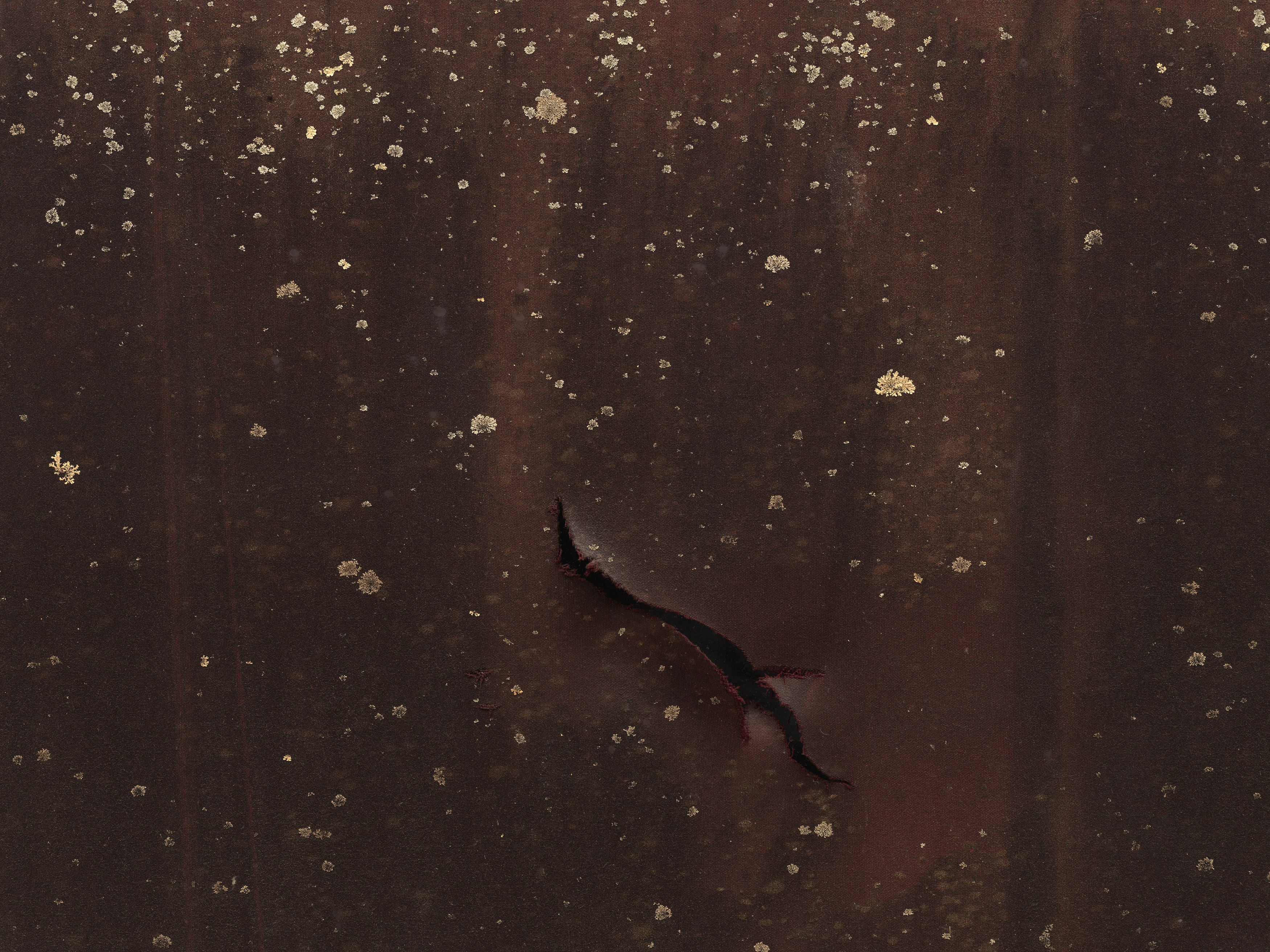 Nick Hoecker, image 67 of 70