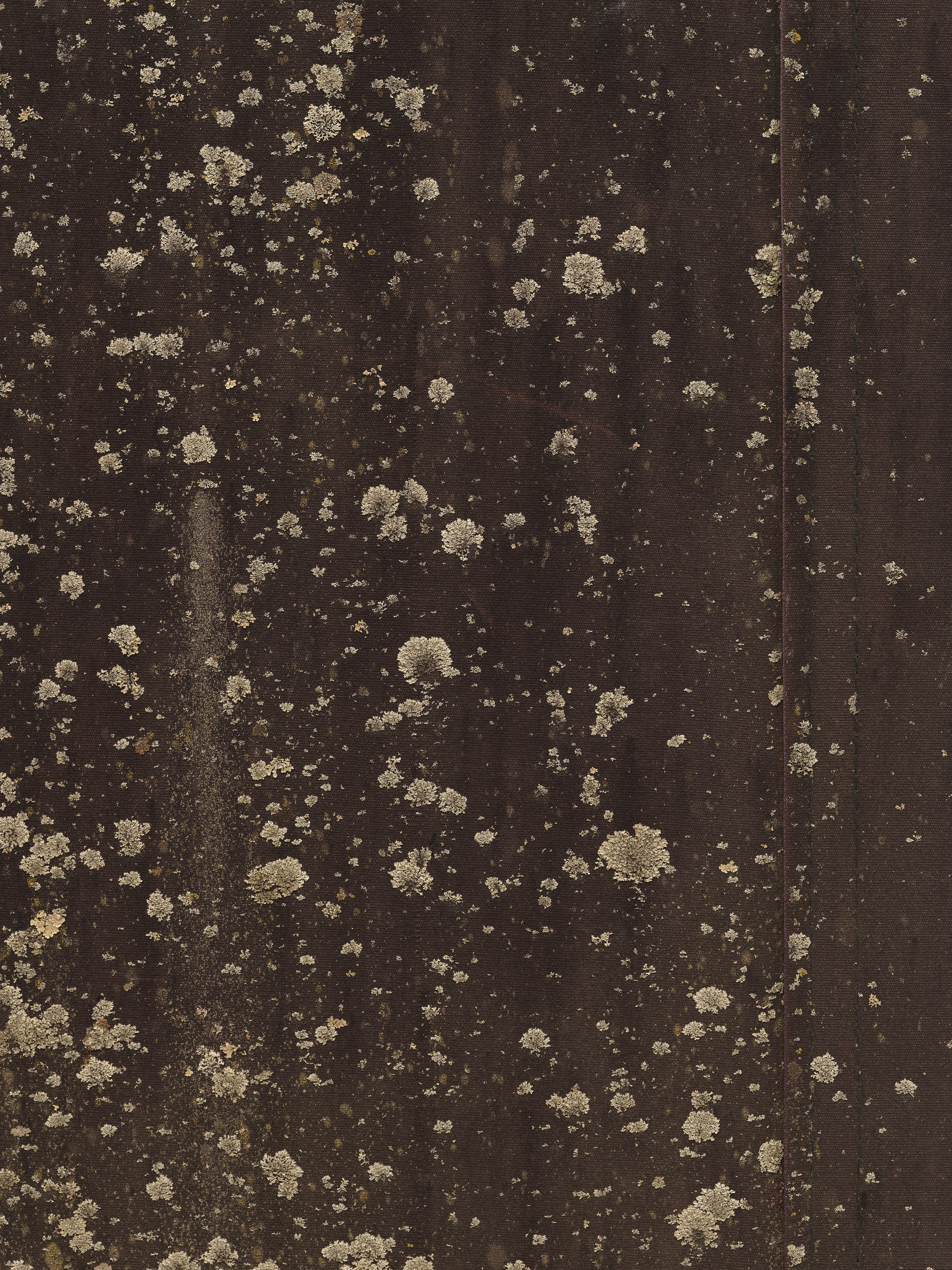 Nick Hoecker, image 70 of 70