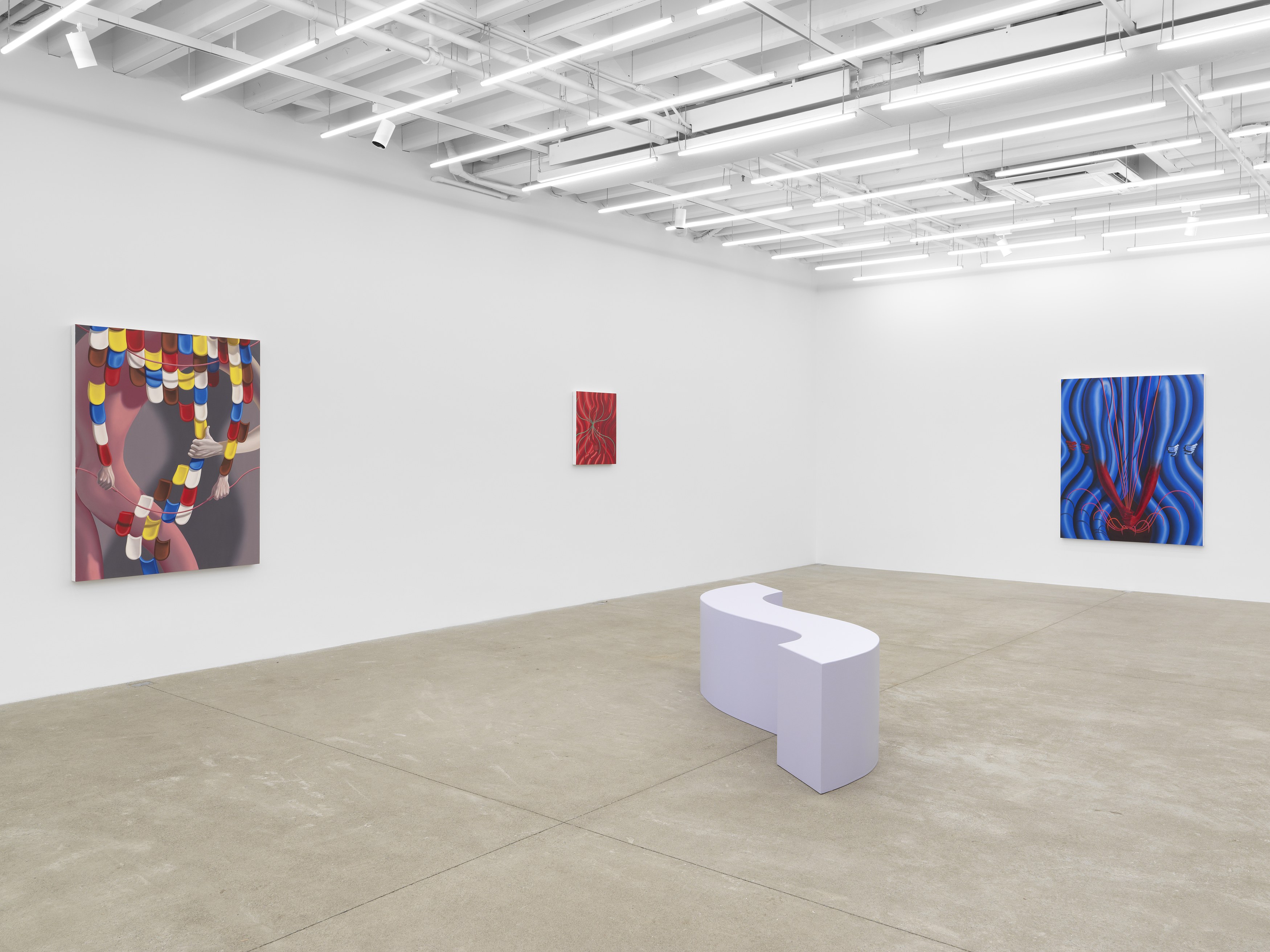 Sascha Braunig, Viewing Room V at Magenta Plains, photo 6