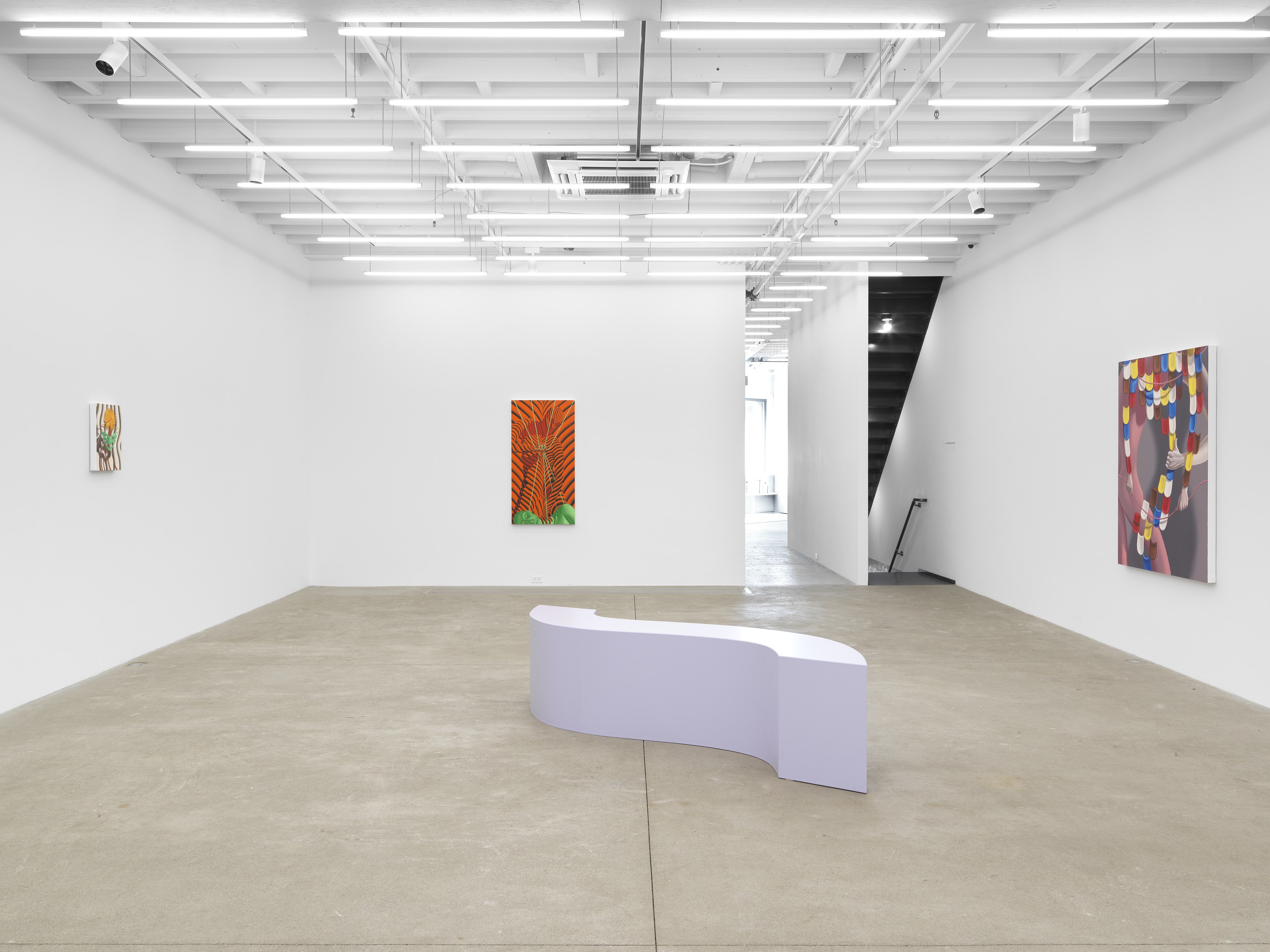 Sascha Braunig, Viewing Room V at Magenta Plains, photo 4