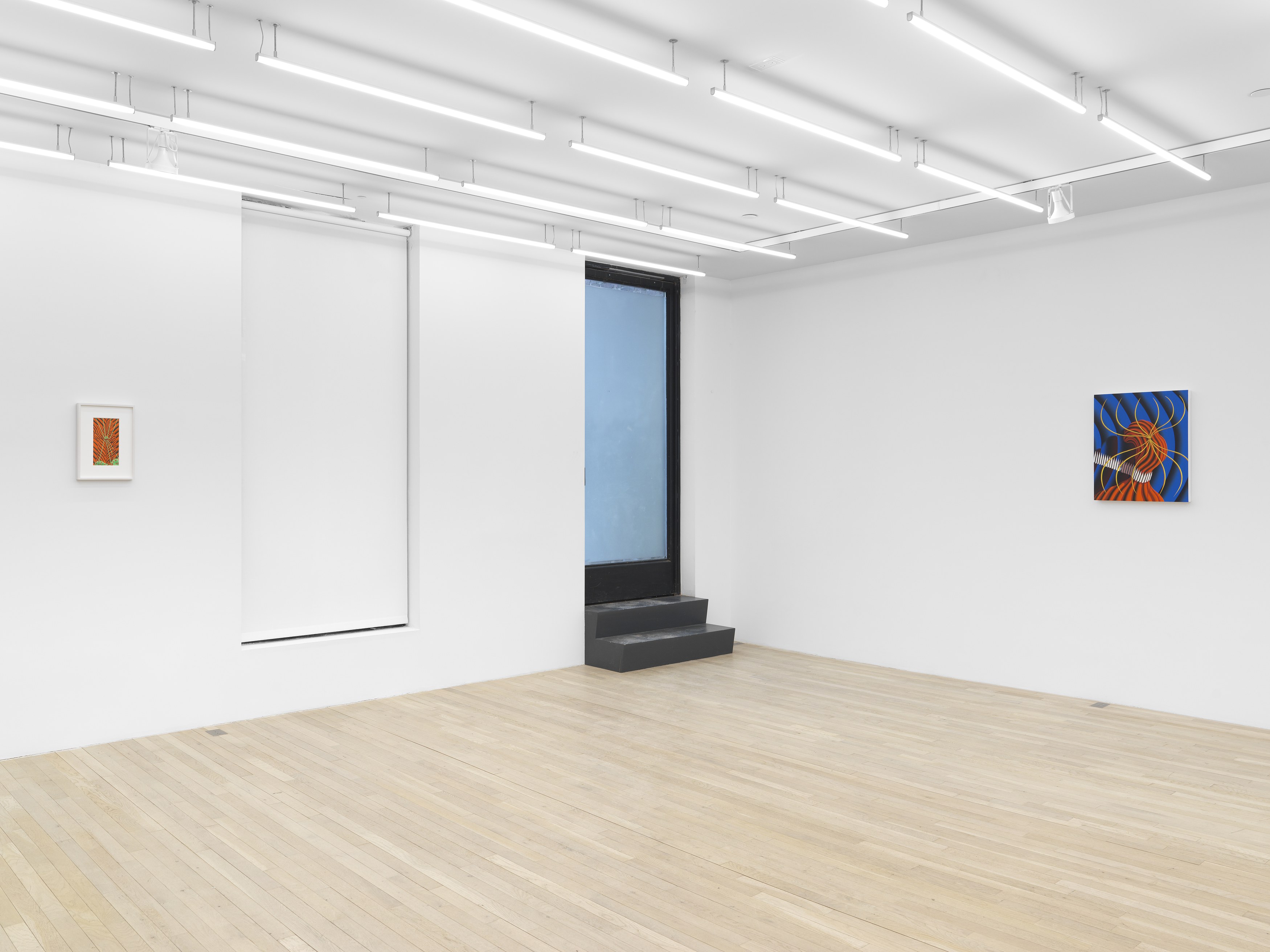 Sascha Braunig, Viewing Room V at Magenta Plains, photo 7