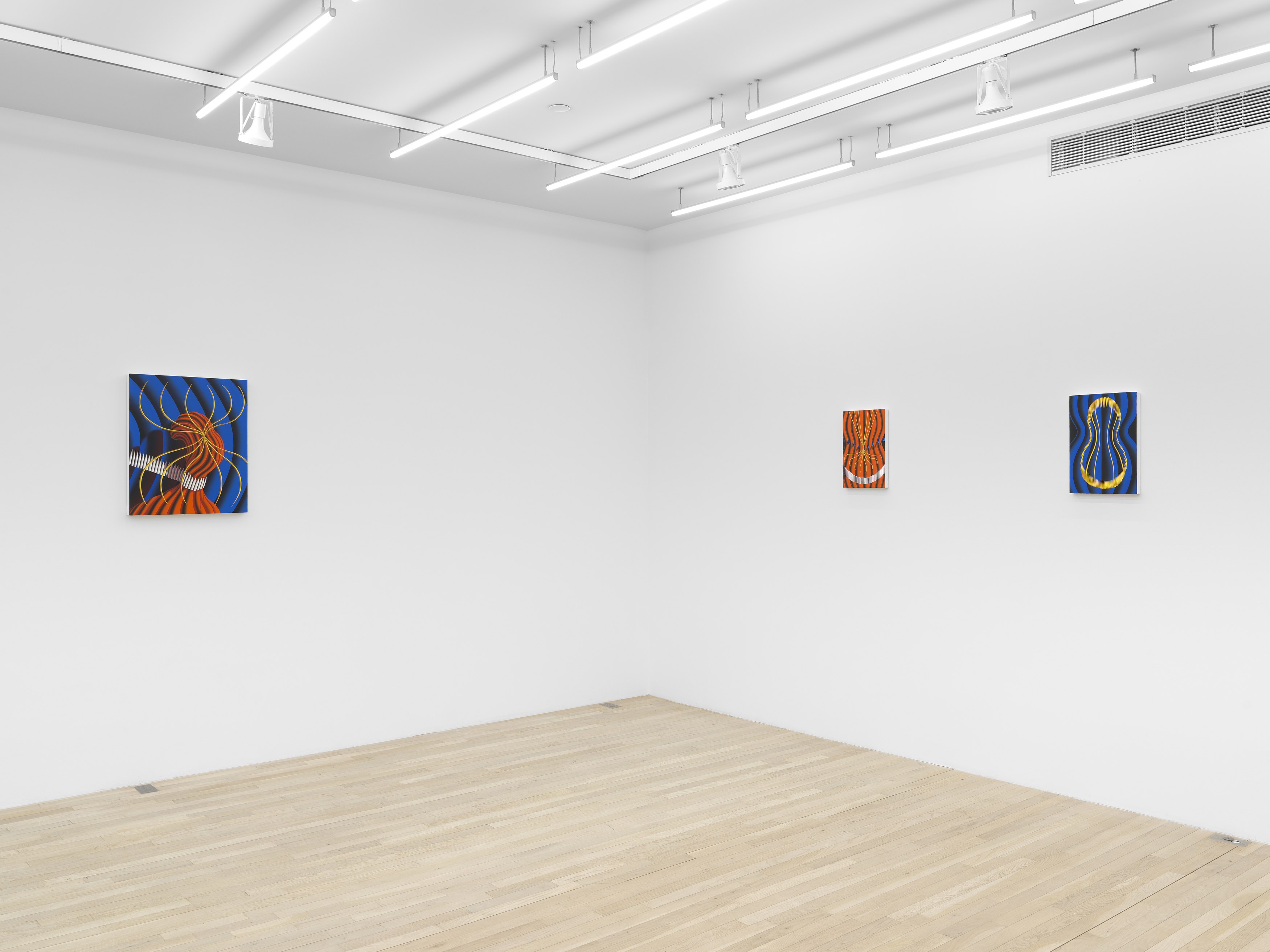 Sascha Braunig, Viewing Room V at Magenta Plains, photo 9