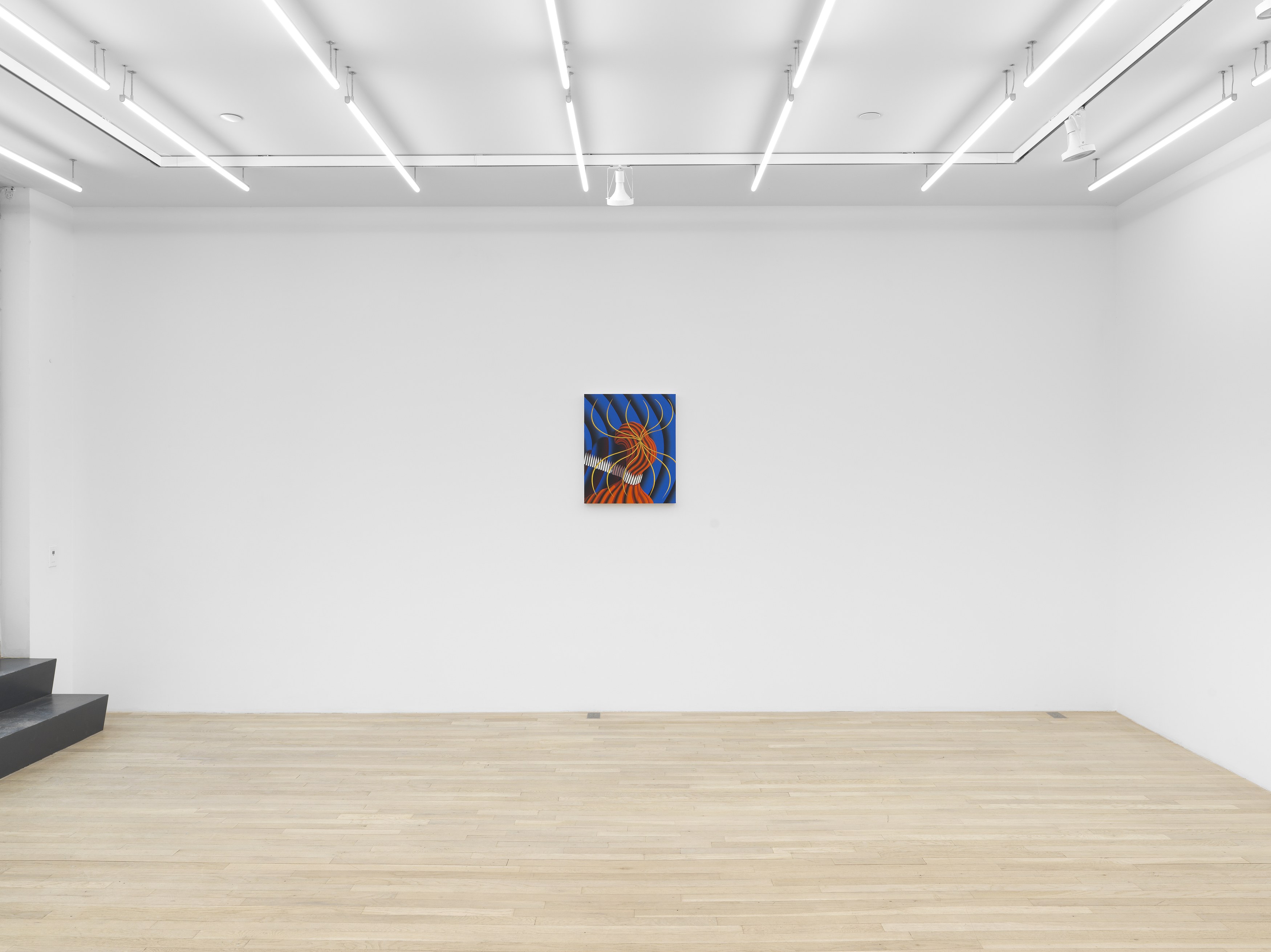 Sascha Braunig, Viewing Room V at Magenta Plains, photo 8