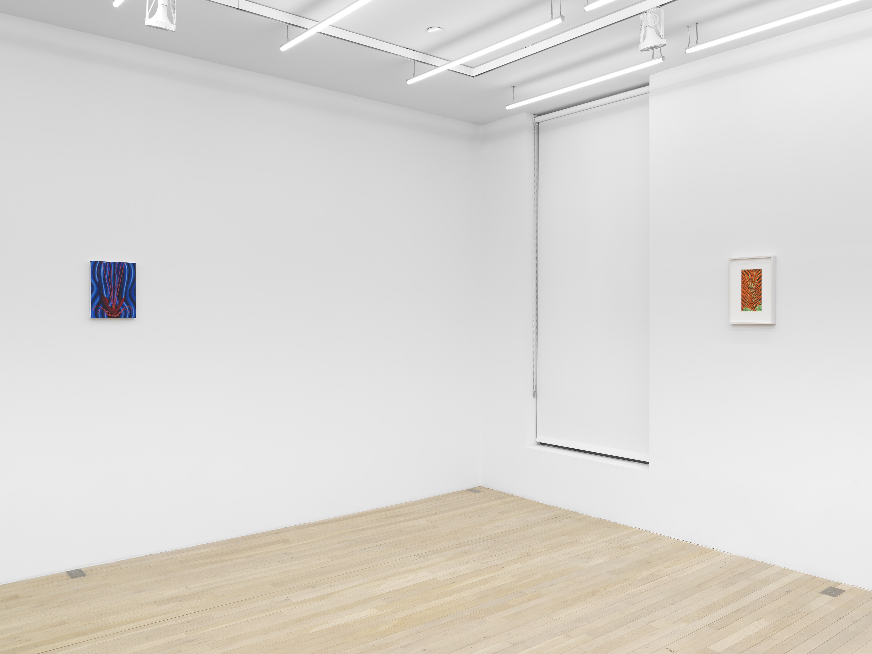 Sascha Braunig, Viewing Room V at Magenta Plains, photo 12