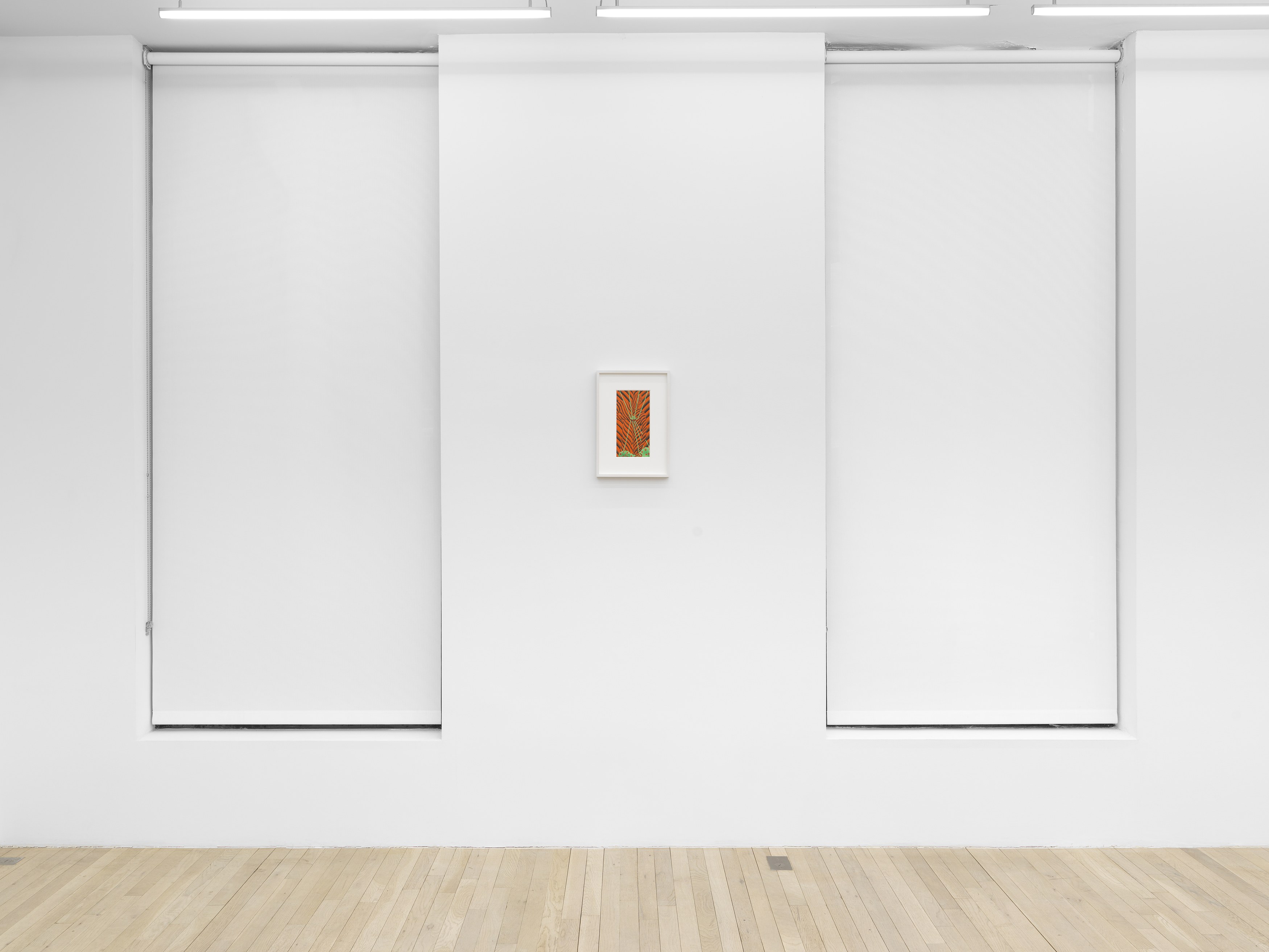 Sascha Braunig, Viewing Room V at Magenta Plains, photo 13