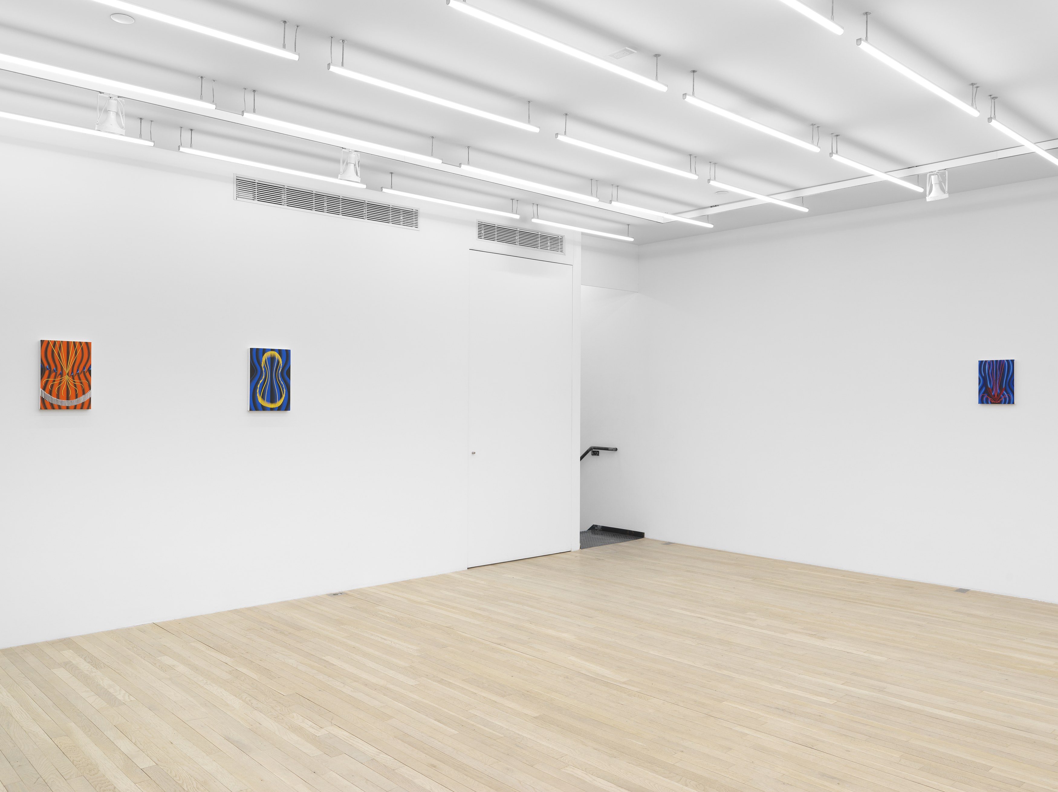 Sascha Braunig, Viewing Room V at Magenta Plains, photo 11