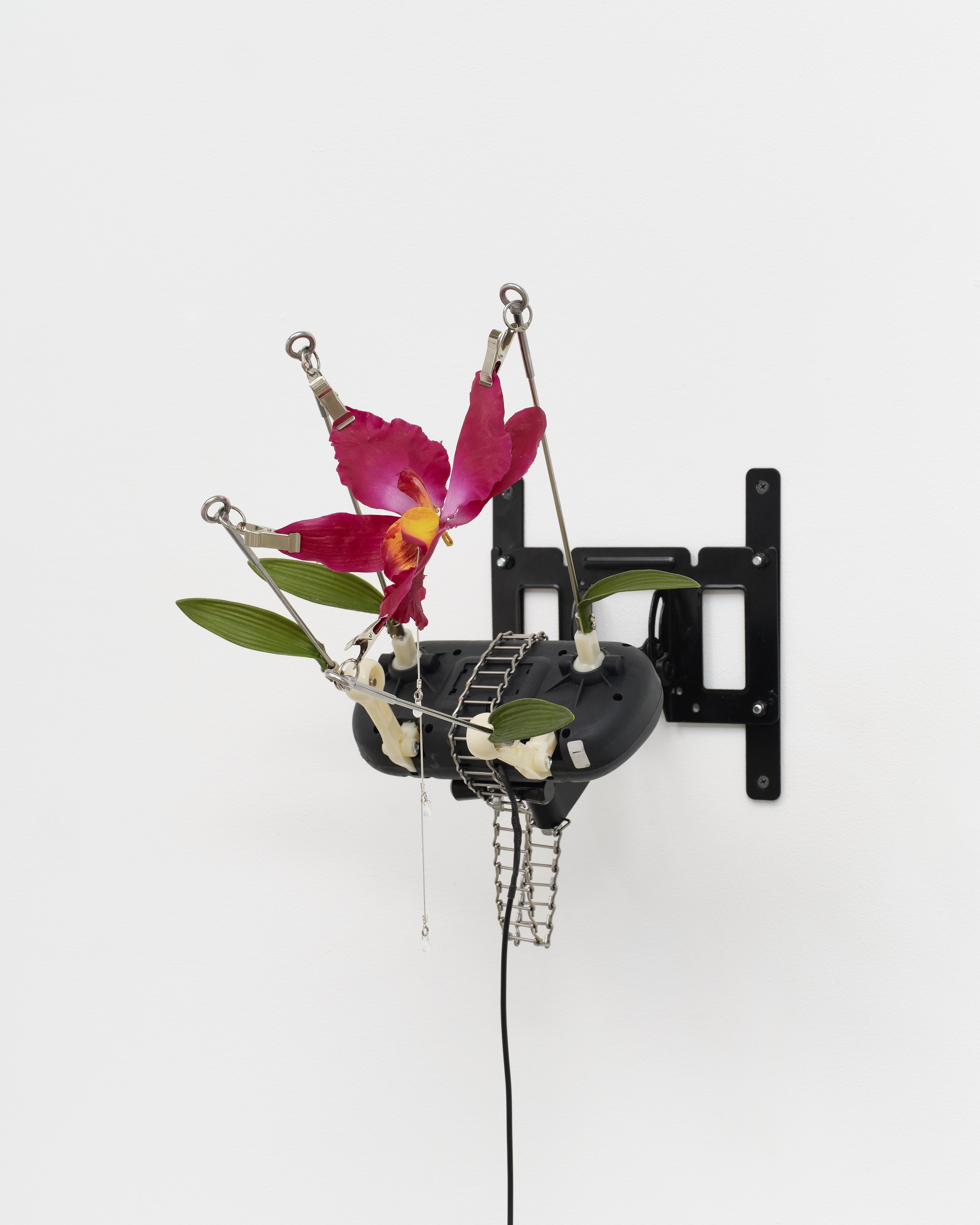 Christine Tien Wang, Rachel Youn, Factory Doomscroll at Night Gallery, photo 61