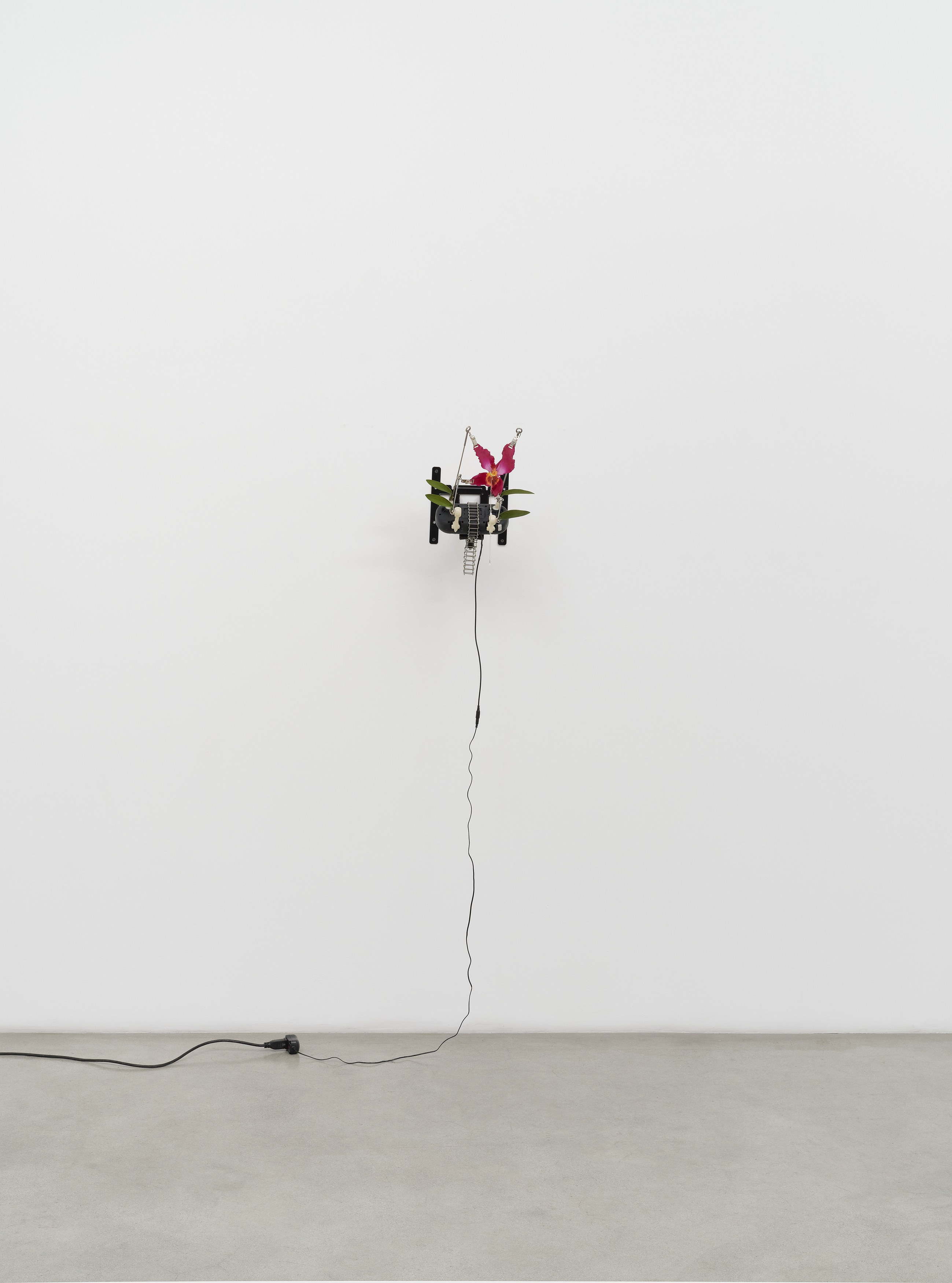Christine Tien Wang, Rachel Youn, Factory Doomscroll at Night Gallery, photo 64