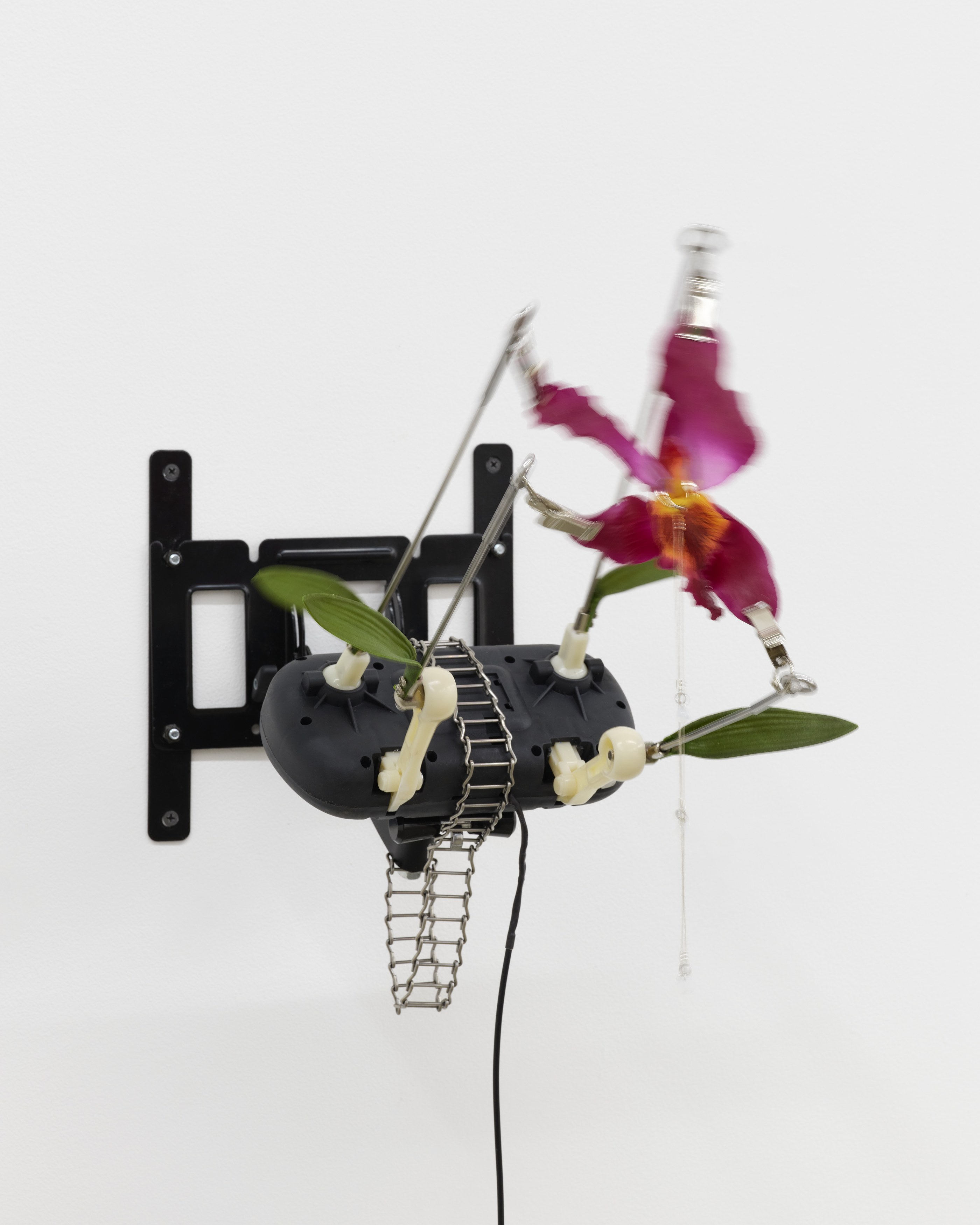 Christine Tien Wang, Rachel Youn, Factory Doomscroll at Night Gallery, photo 67