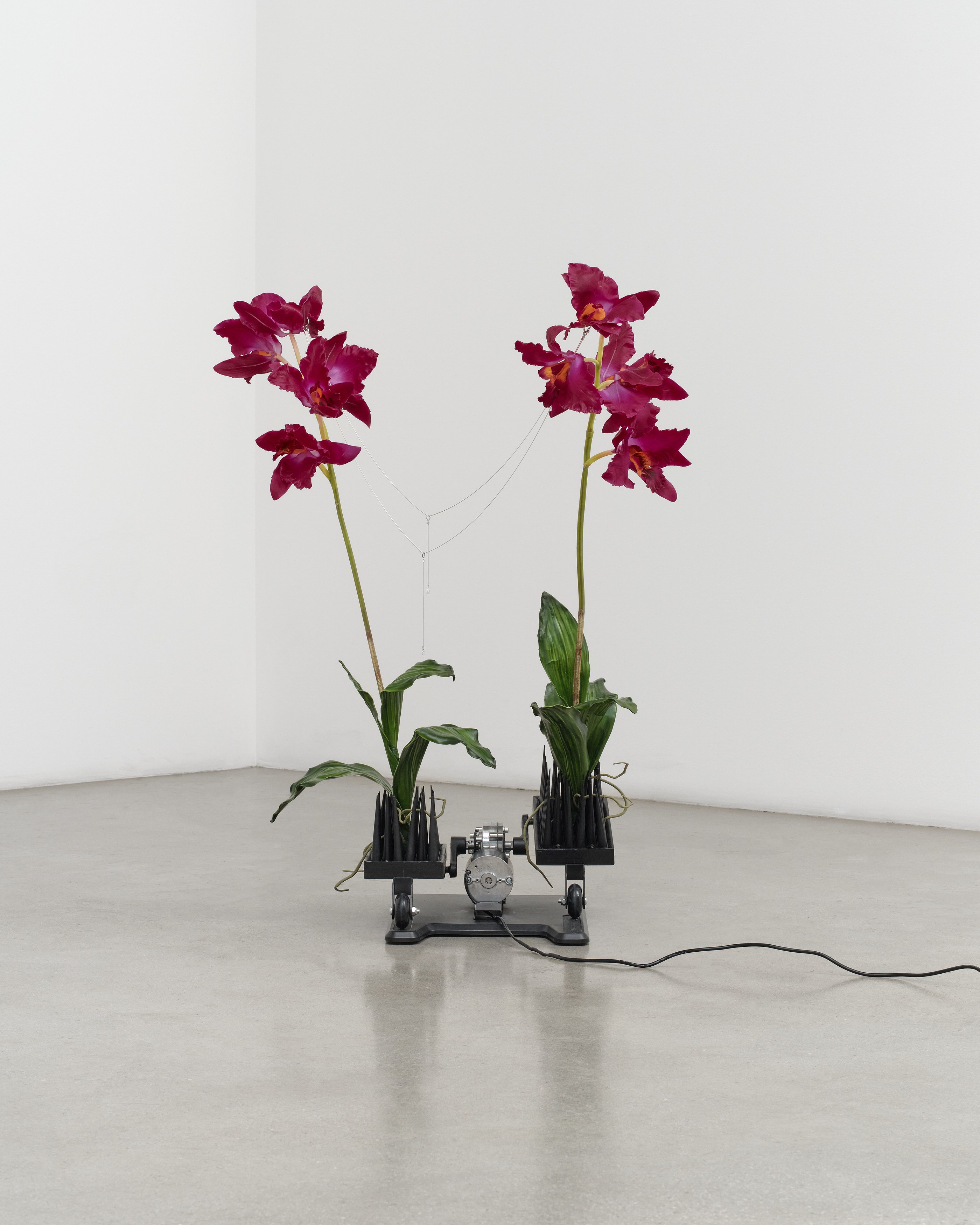 Christine Tien Wang, Rachel Youn, Factory Doomscroll at Night Gallery, photo 69