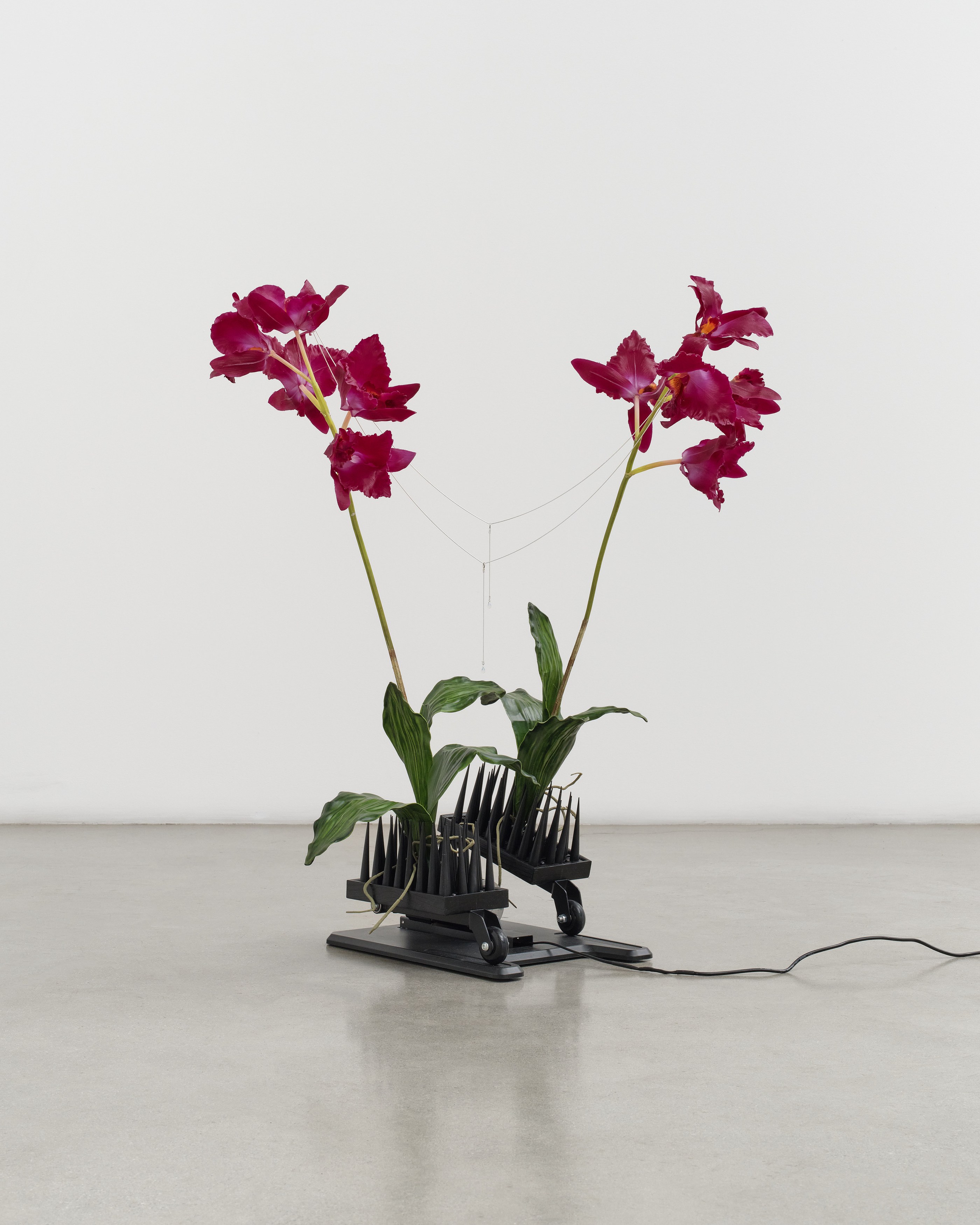 Christine Tien Wang, Rachel Youn, Factory Doomscroll at Night Gallery, photo 70