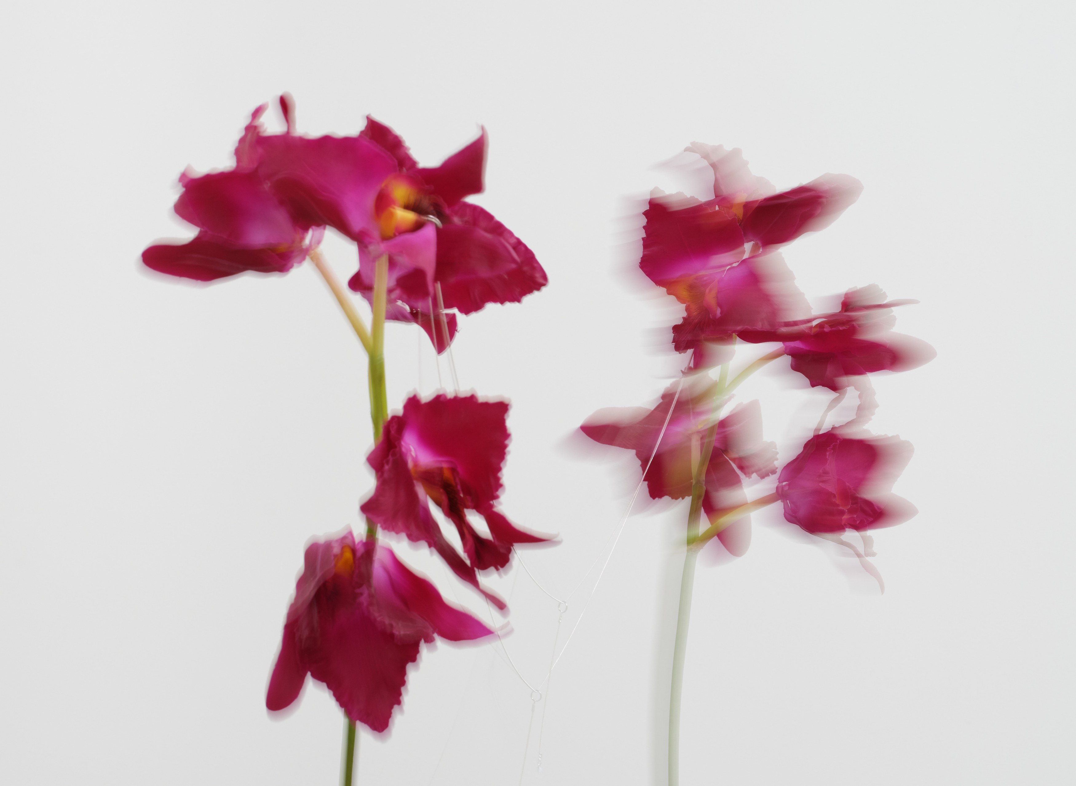 Christine Tien Wang, Rachel Youn, Factory Doomscroll at Night Gallery, photo 74