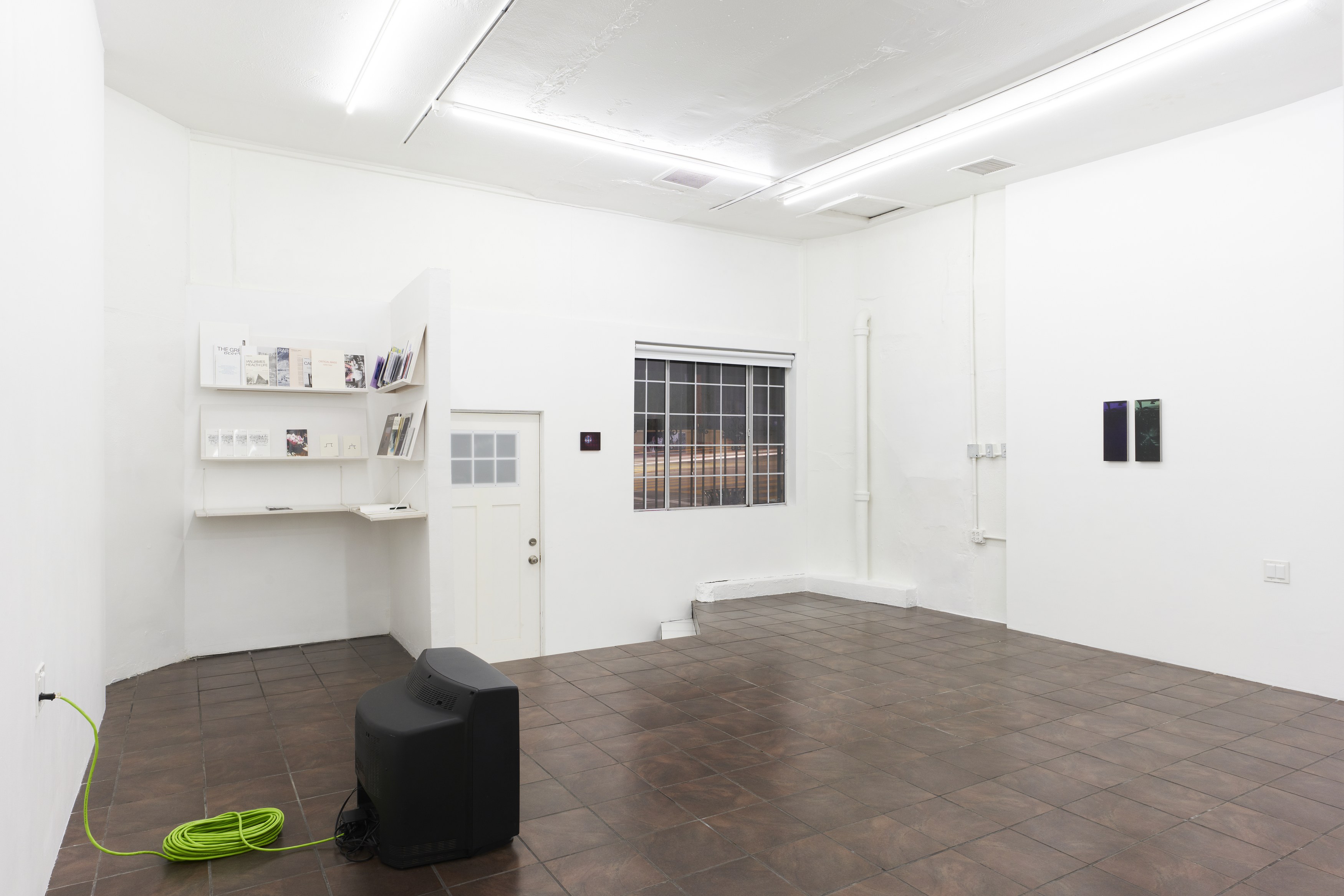 William Leavitt, Alexandra Noel, Ludovic Sauvage, Frances Stark, image 9 of 38