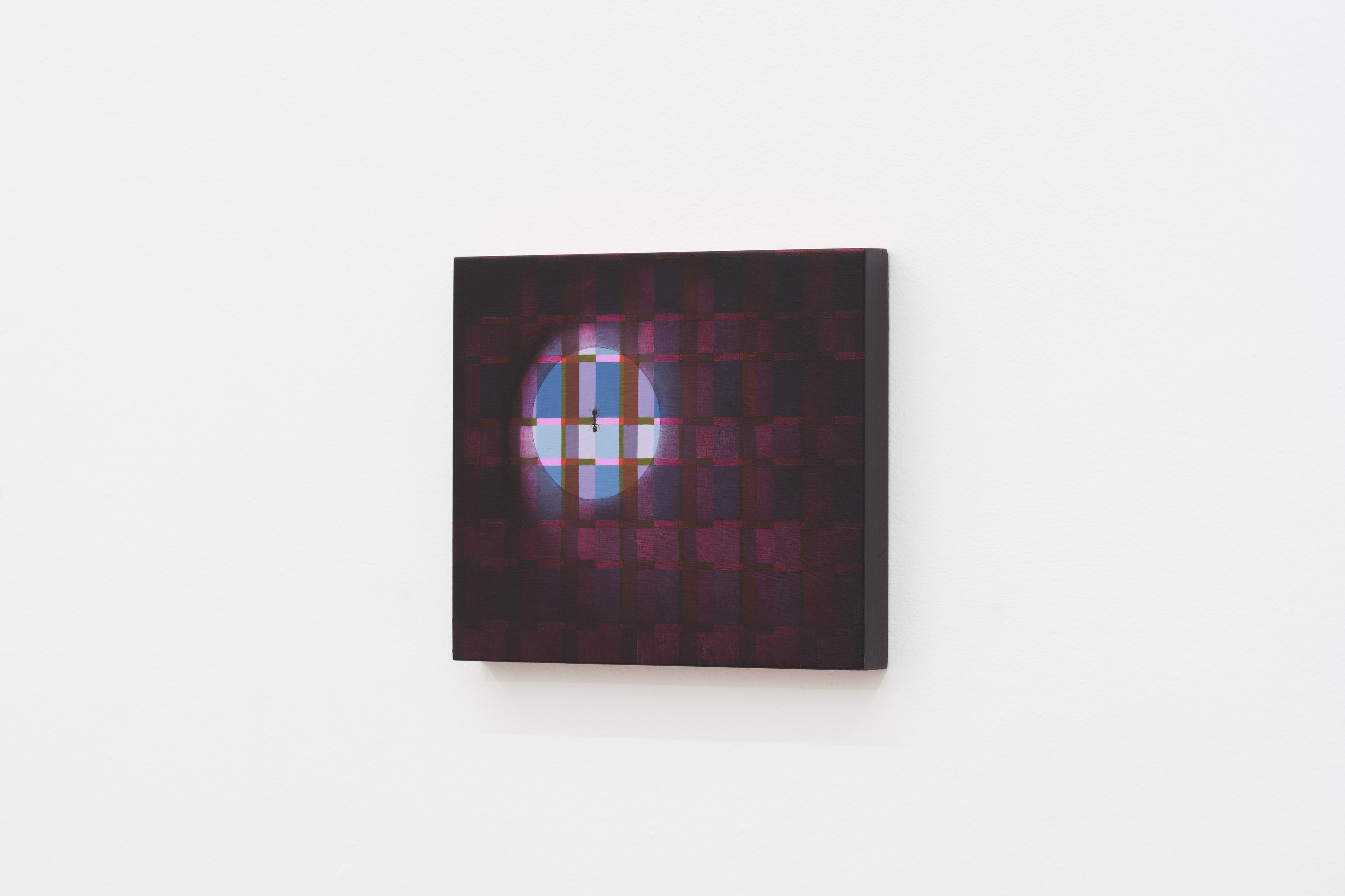 William Leavitt, Alexandra Noel, Ludovic Sauvage, Frances Stark, image 20 of 38