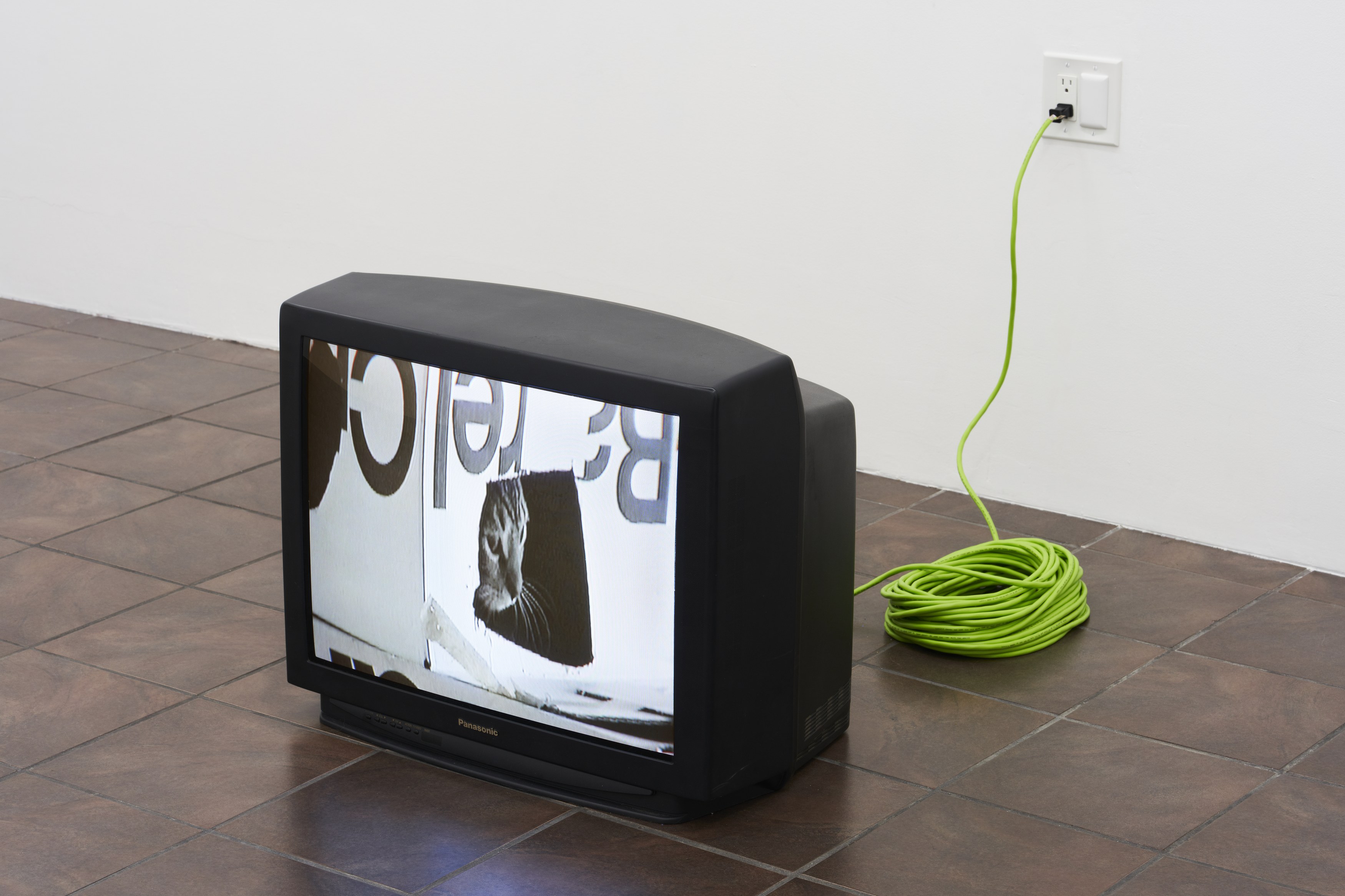 William Leavitt, Alexandra Noel, Ludovic Sauvage, Frances Stark, image 29 of 38