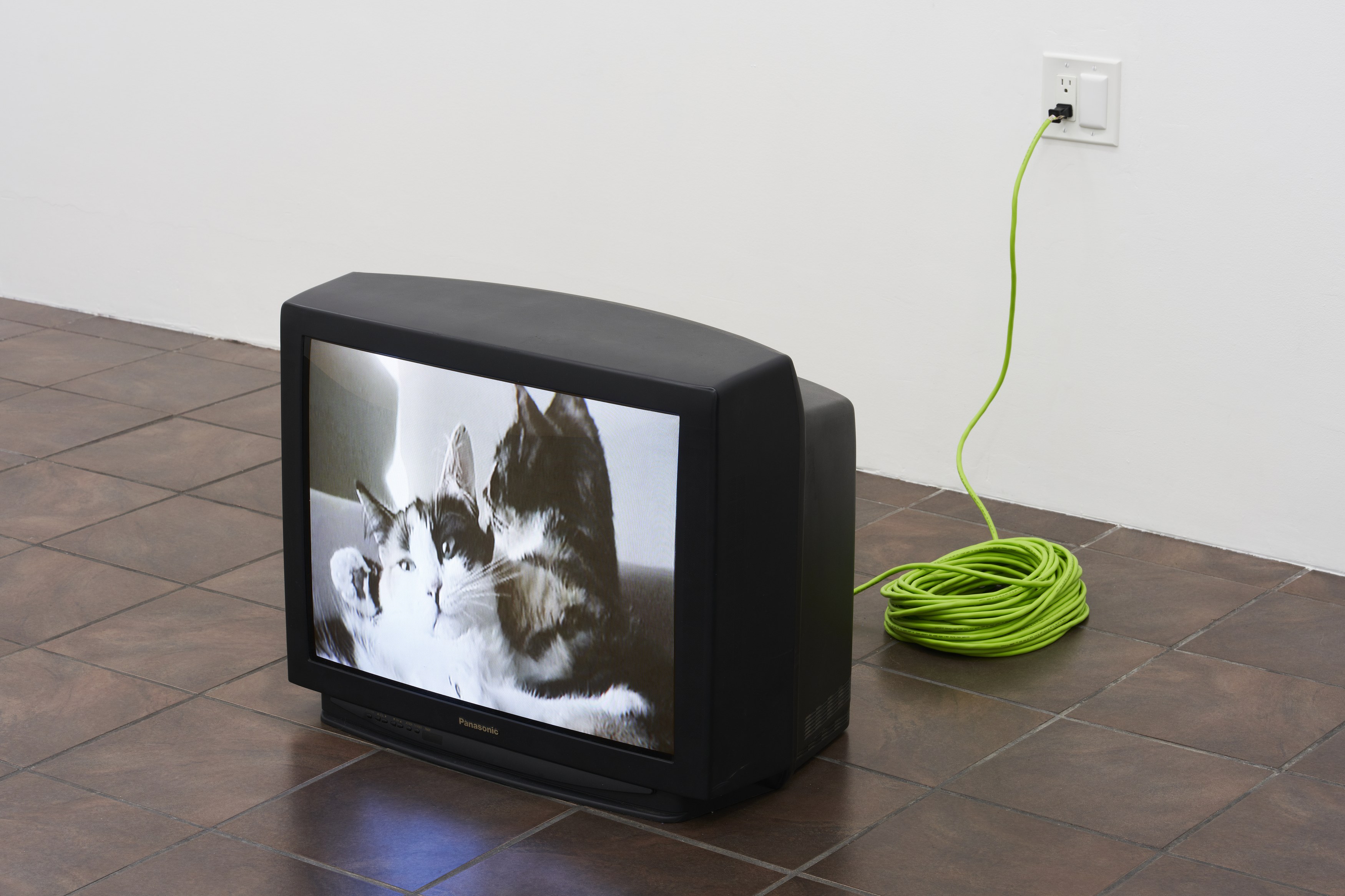 William Leavitt, Alexandra Noel, Ludovic Sauvage, Frances Stark, image 30 of 38