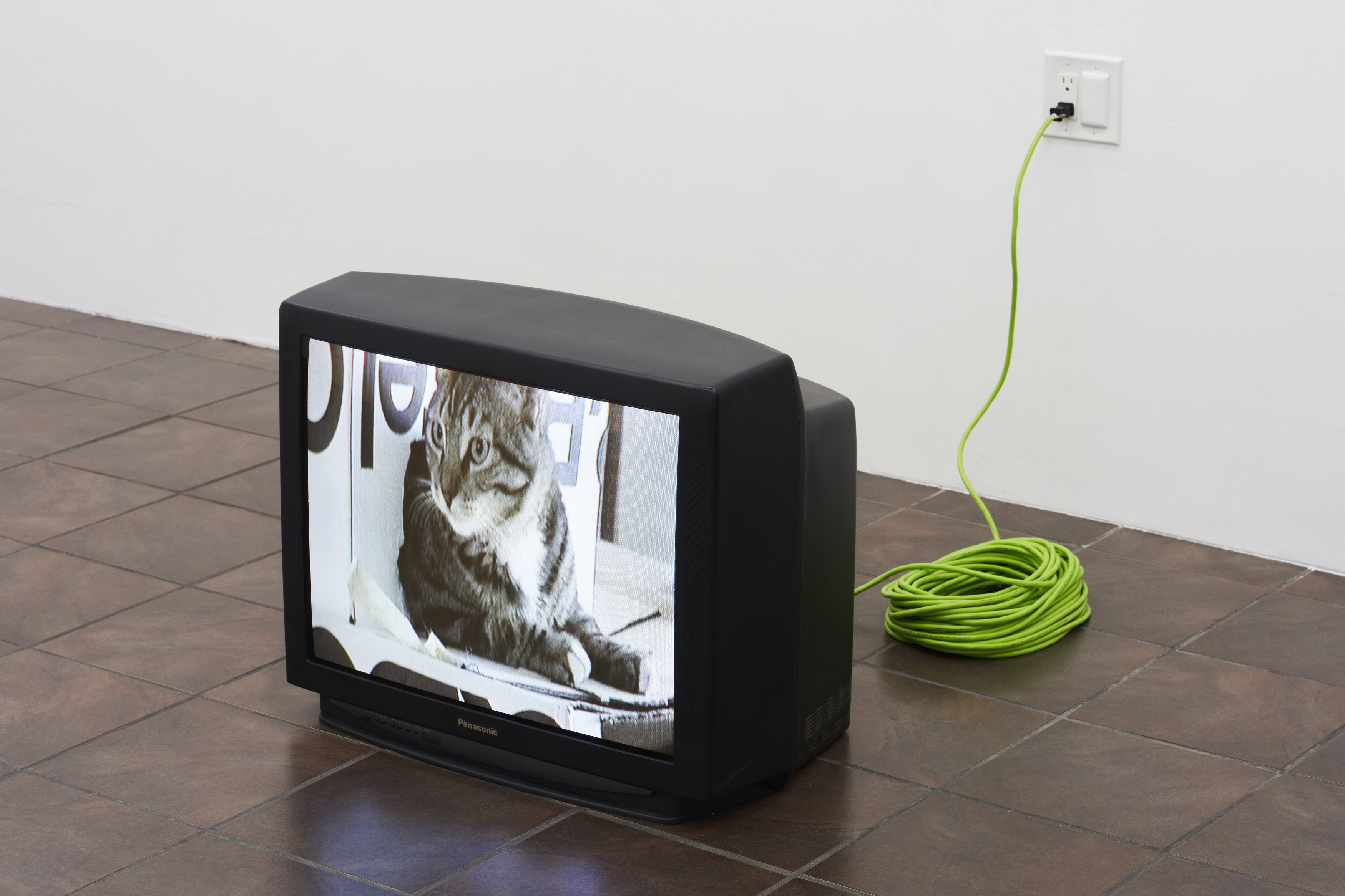 William Leavitt, Alexandra Noel, Ludovic Sauvage, Frances Stark, image 32 of 38