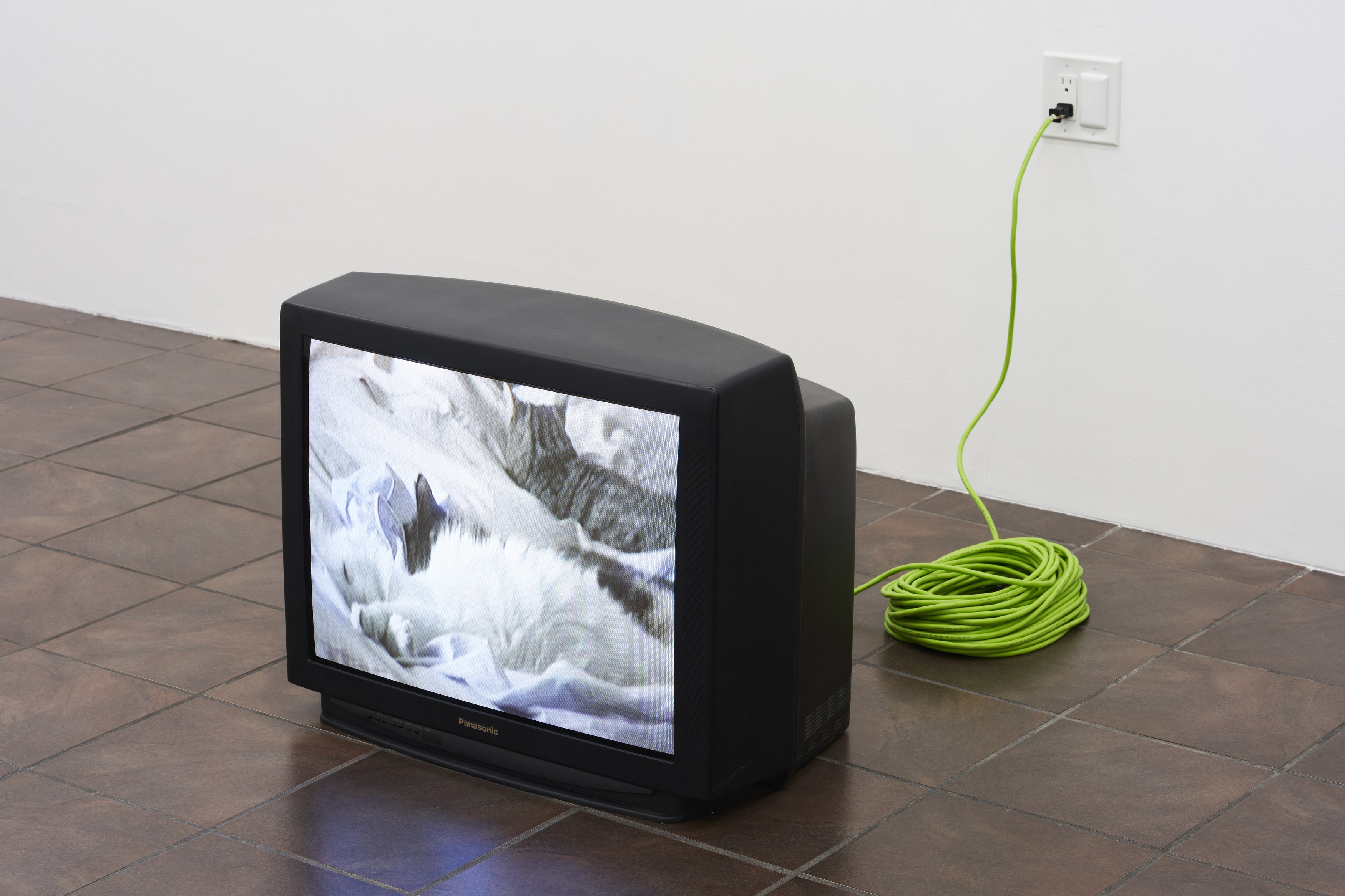 William Leavitt, Alexandra Noel, Ludovic Sauvage, Frances Stark, image 34 of 38
