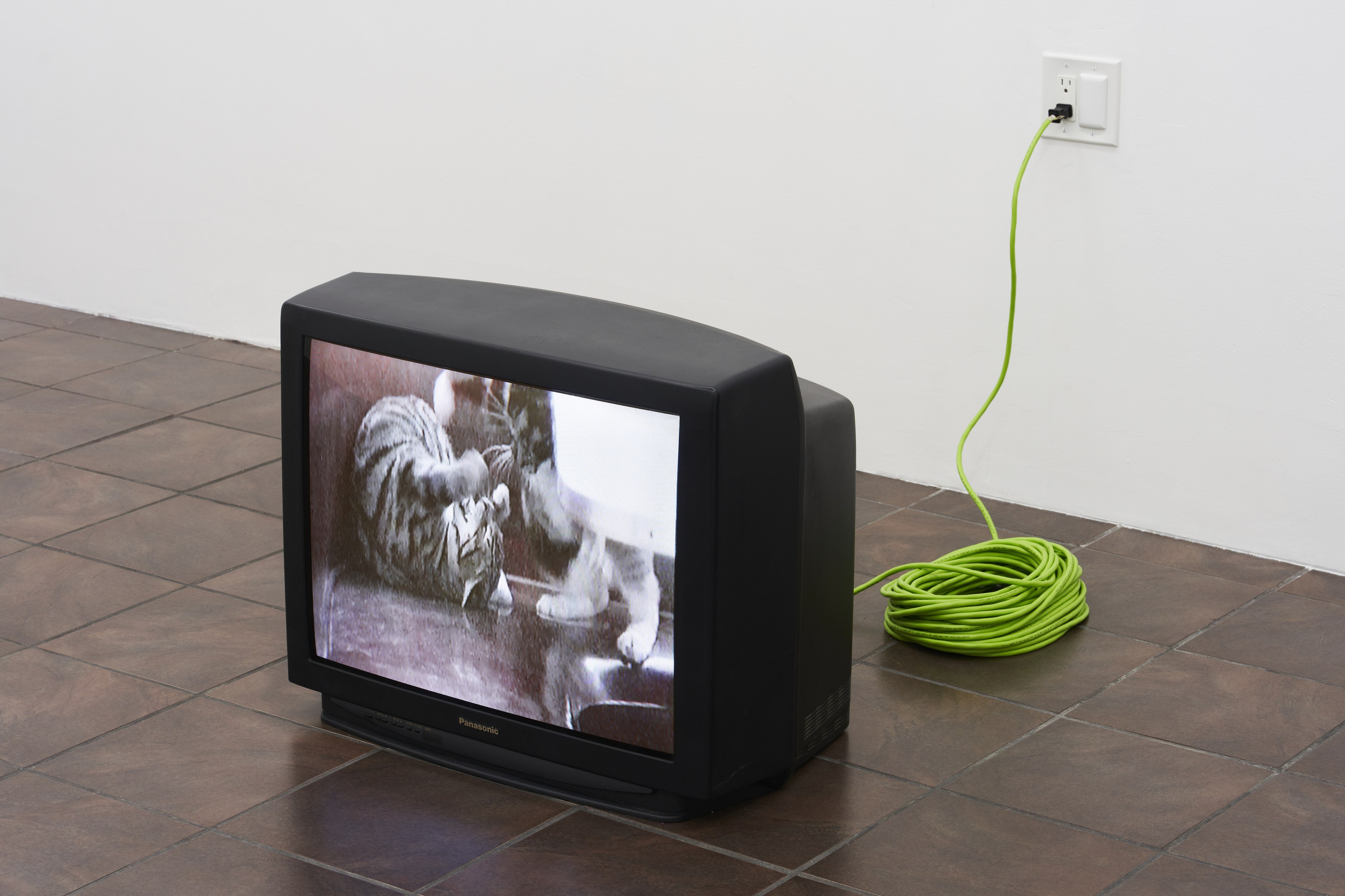 William Leavitt, Alexandra Noel, Ludovic Sauvage, Frances Stark, image 35 of 38