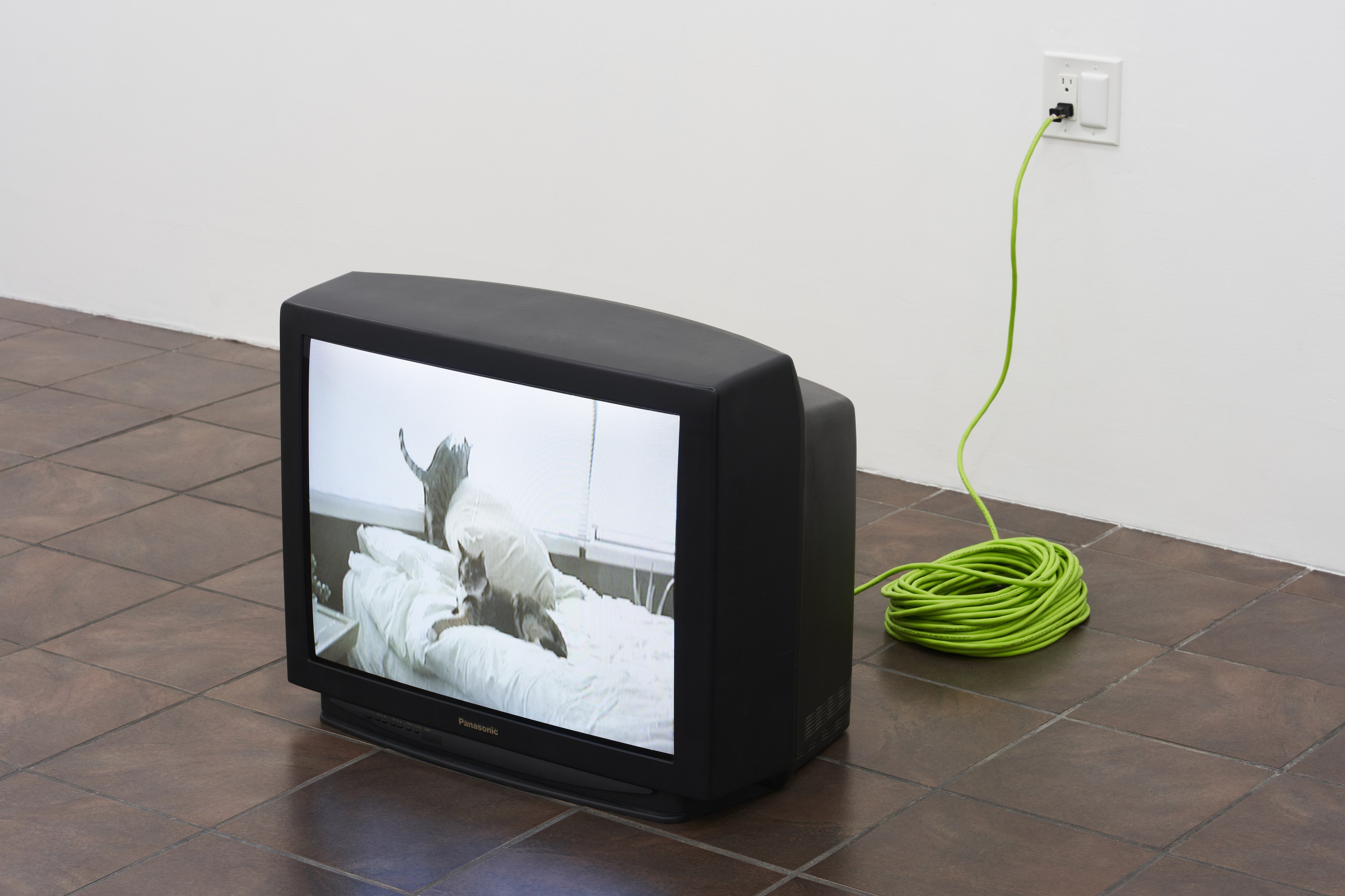 William Leavitt, Alexandra Noel, Ludovic Sauvage, Frances Stark, image 36 of 38