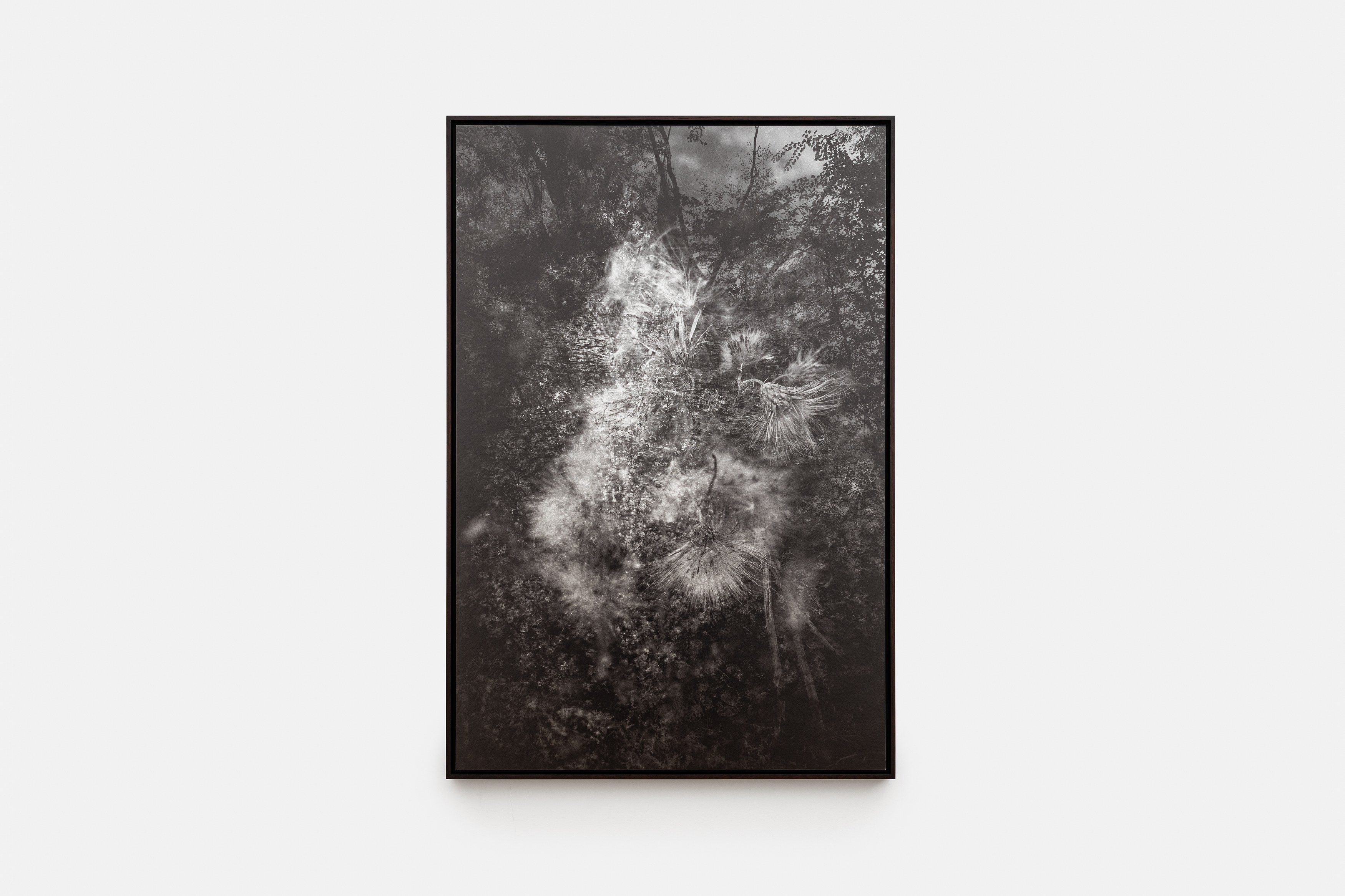 Melik Ohanian, ALTERATION, For a long time in Time at Galerie Chantal Crousel, photo 9