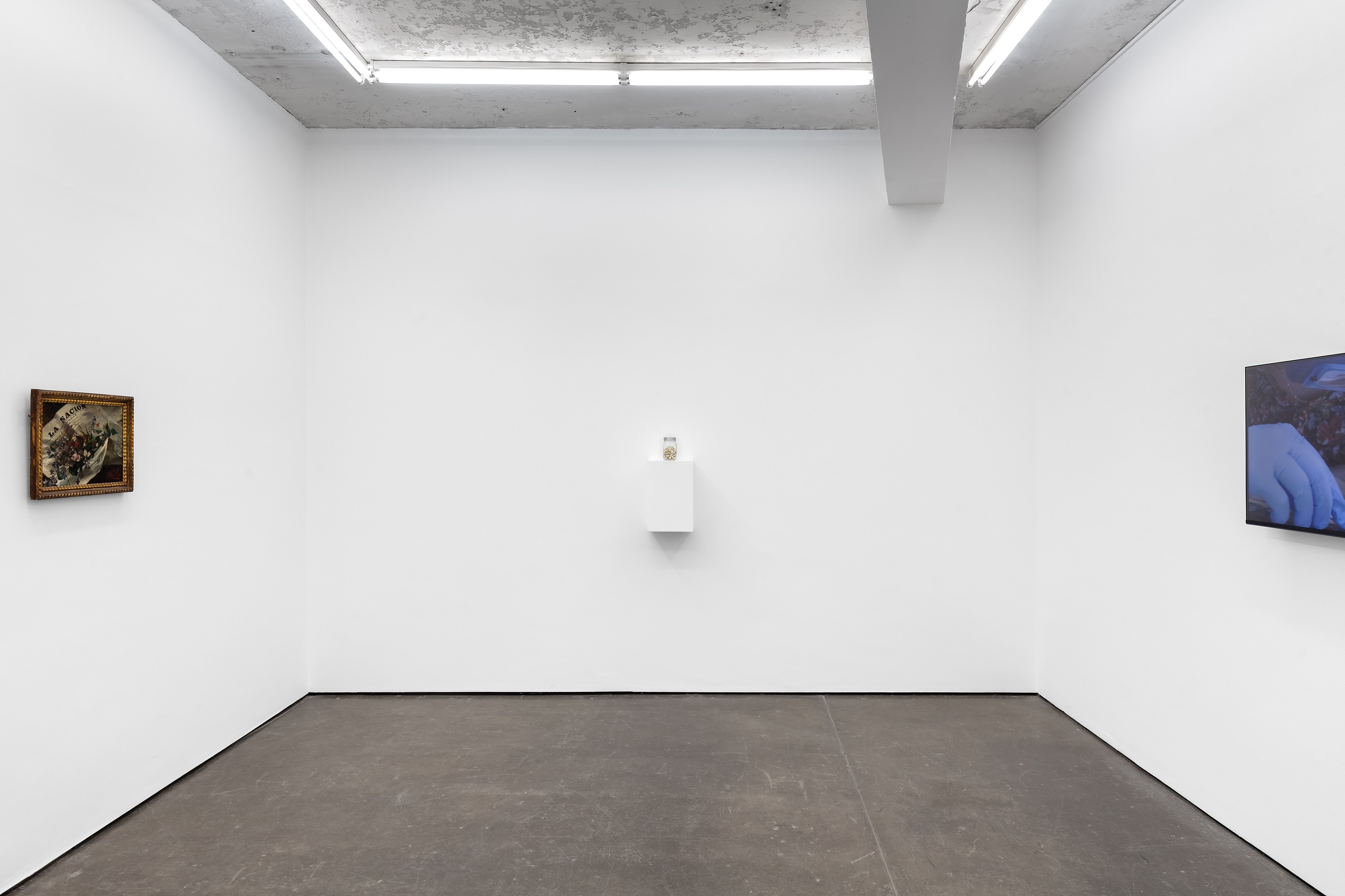 Amalia Pica, Daisy Chain at Museum St, photo 5