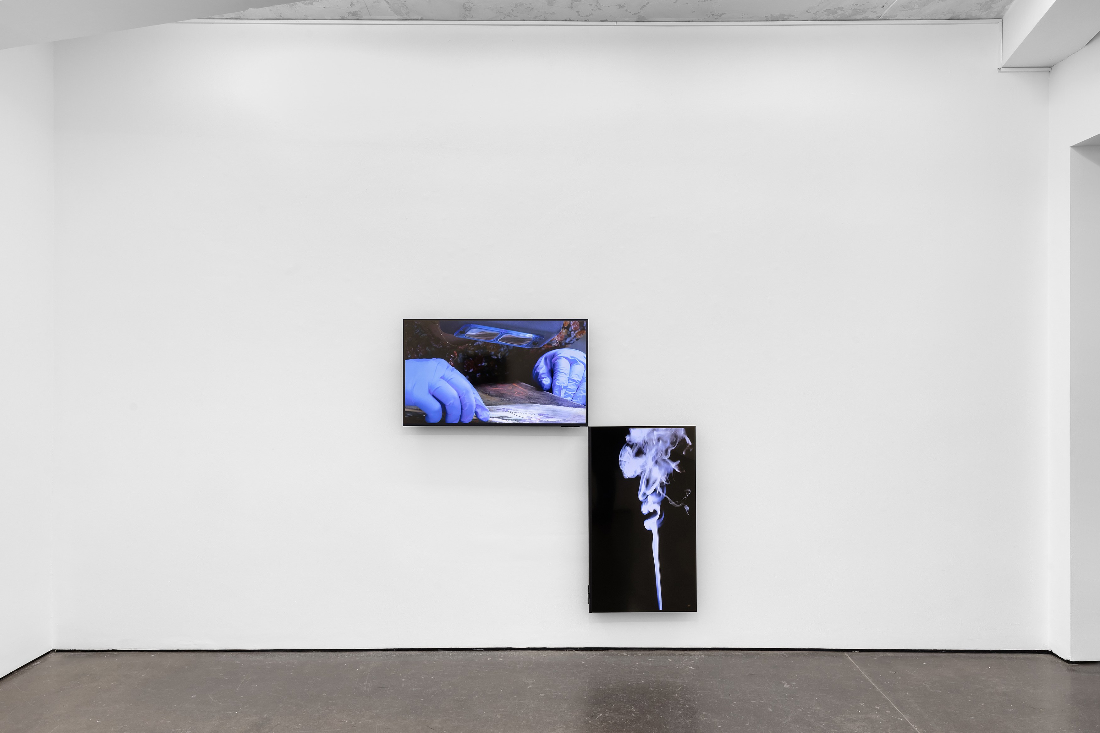 Amalia Pica, Daisy Chain at Museum St, photo 6