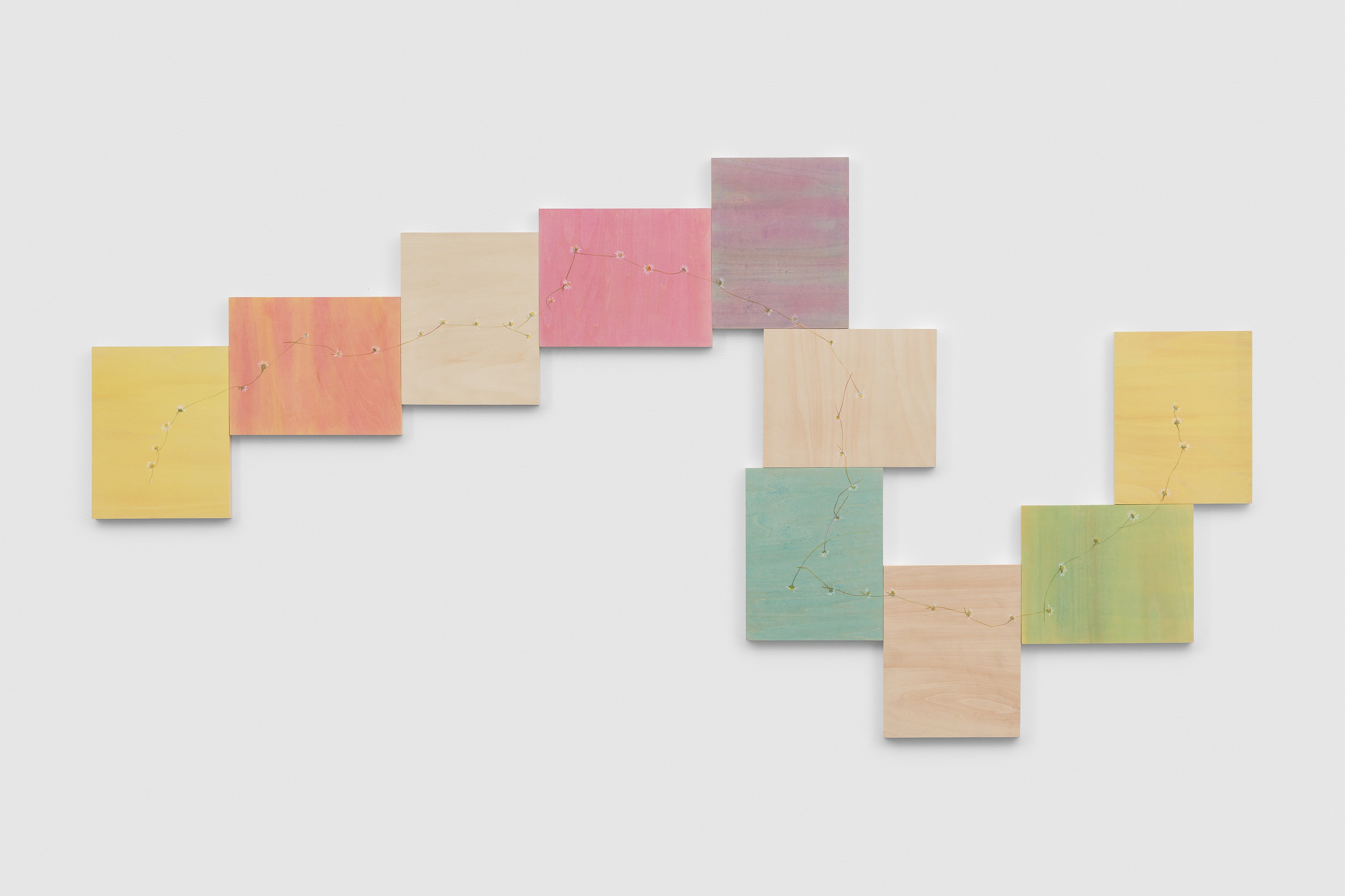 Amalia Pica, Daisy Chain at Museum St, photo 9
