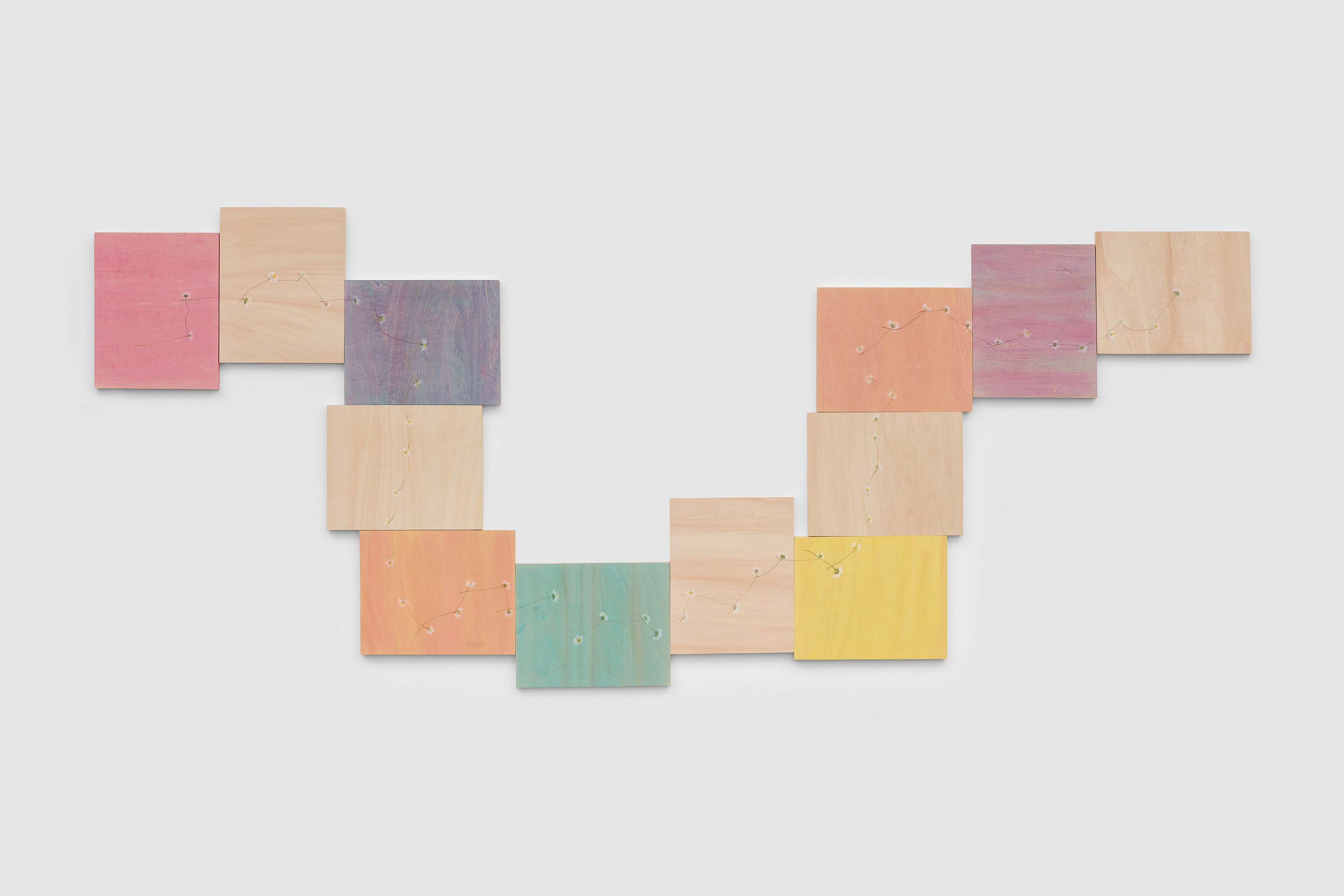 Amalia Pica, Daisy Chain at Museum St, photo 7
