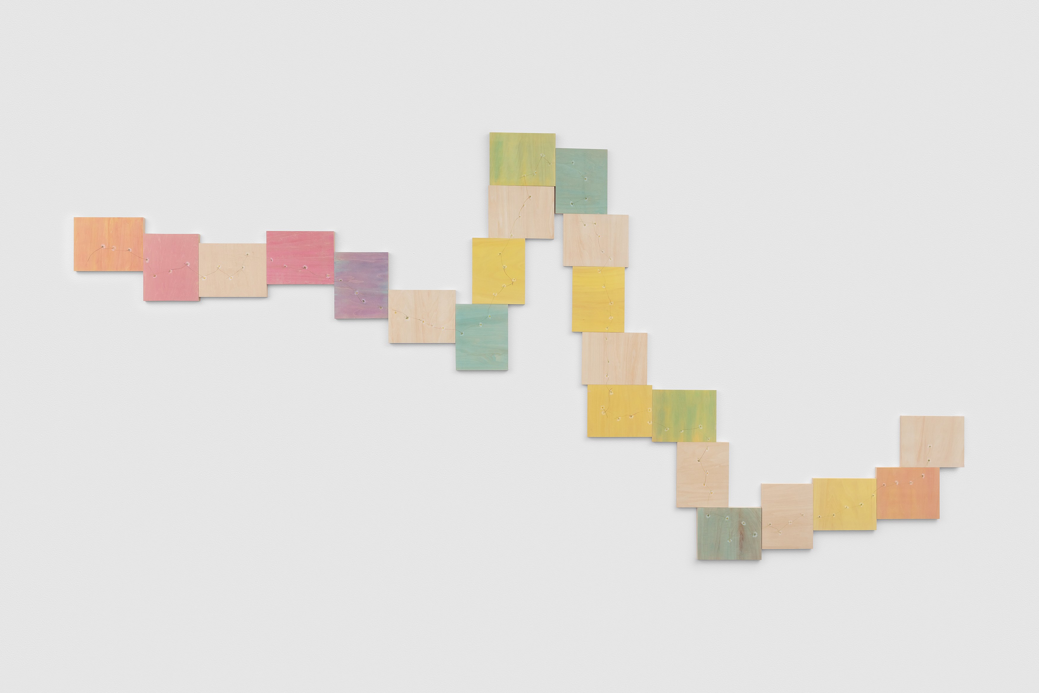Amalia Pica, Daisy Chain at Museum St, photo 8