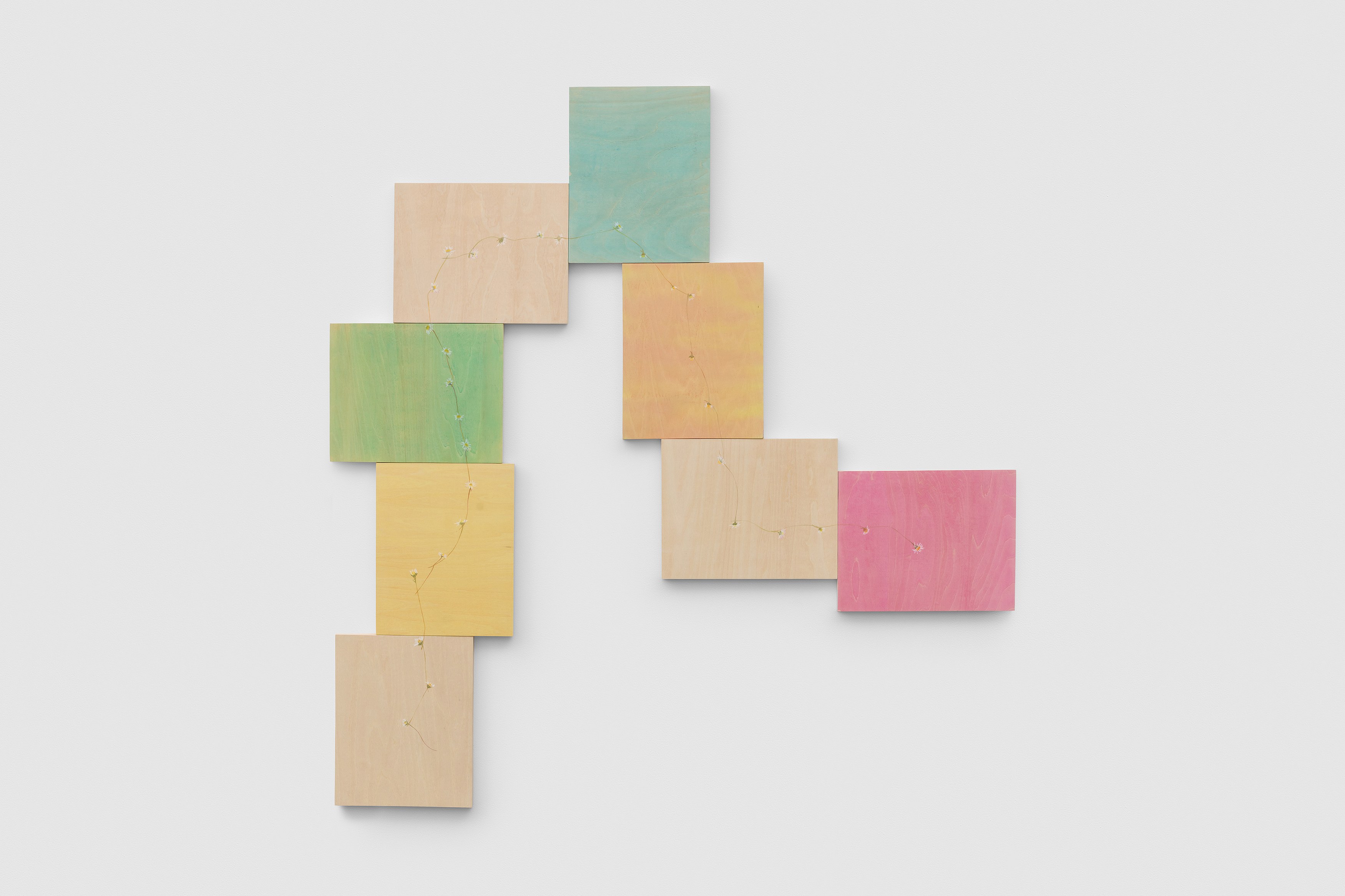 Amalia Pica, Daisy Chain at Museum St, photo 11