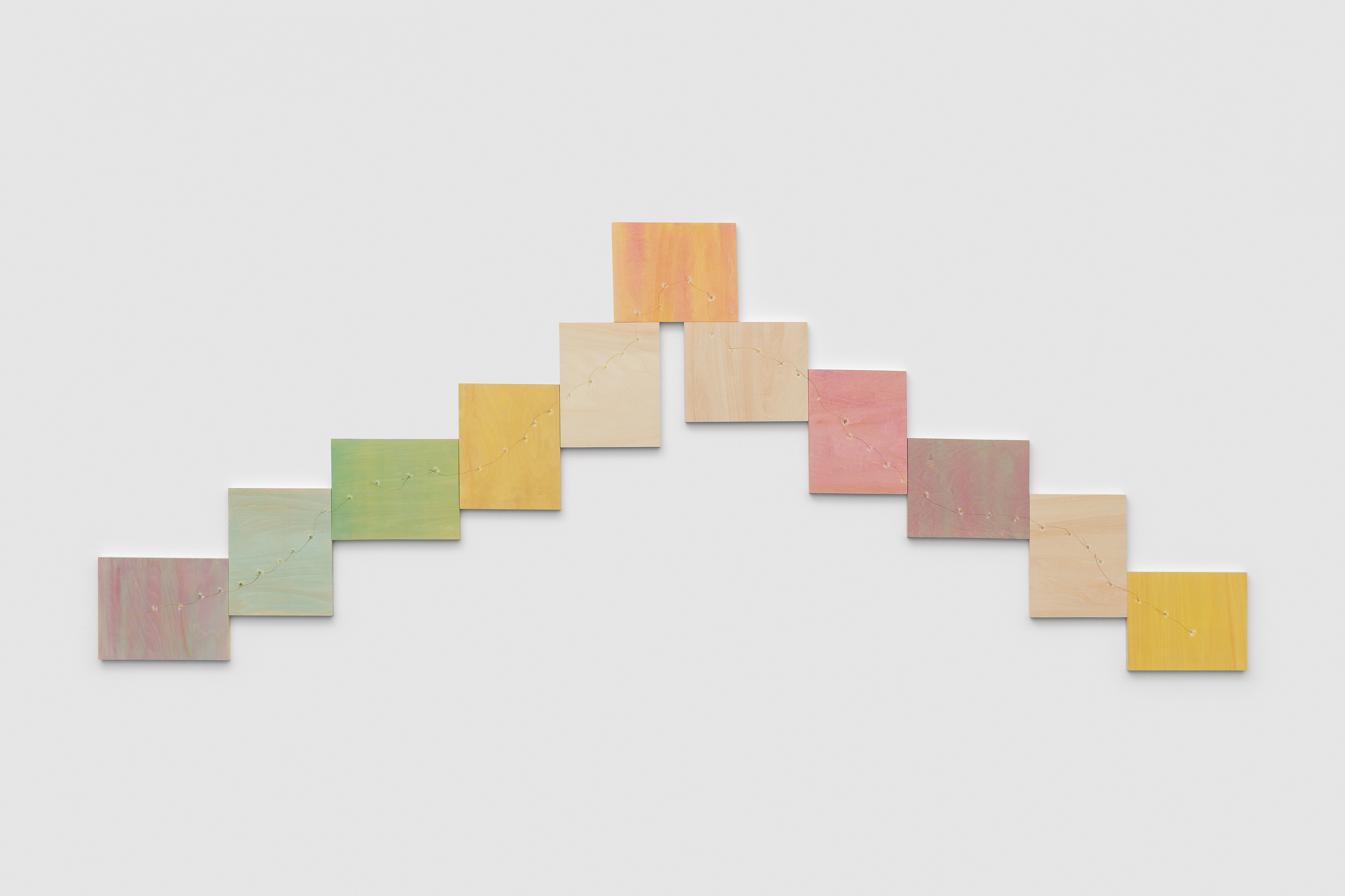 Amalia Pica, Daisy Chain at Museum St, photo 12