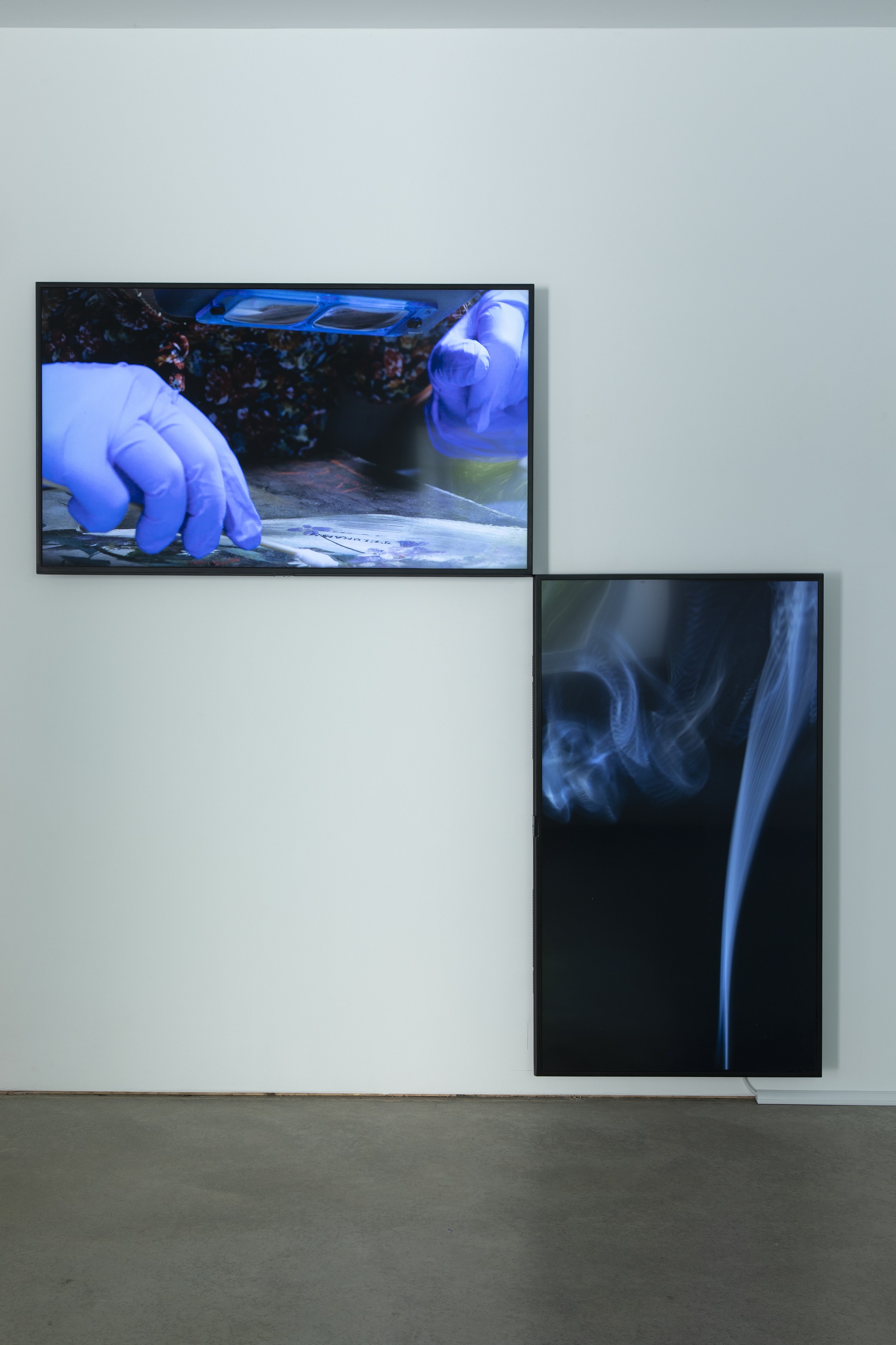 Amalia Pica, Daisy Chain at Museum St, photo 13