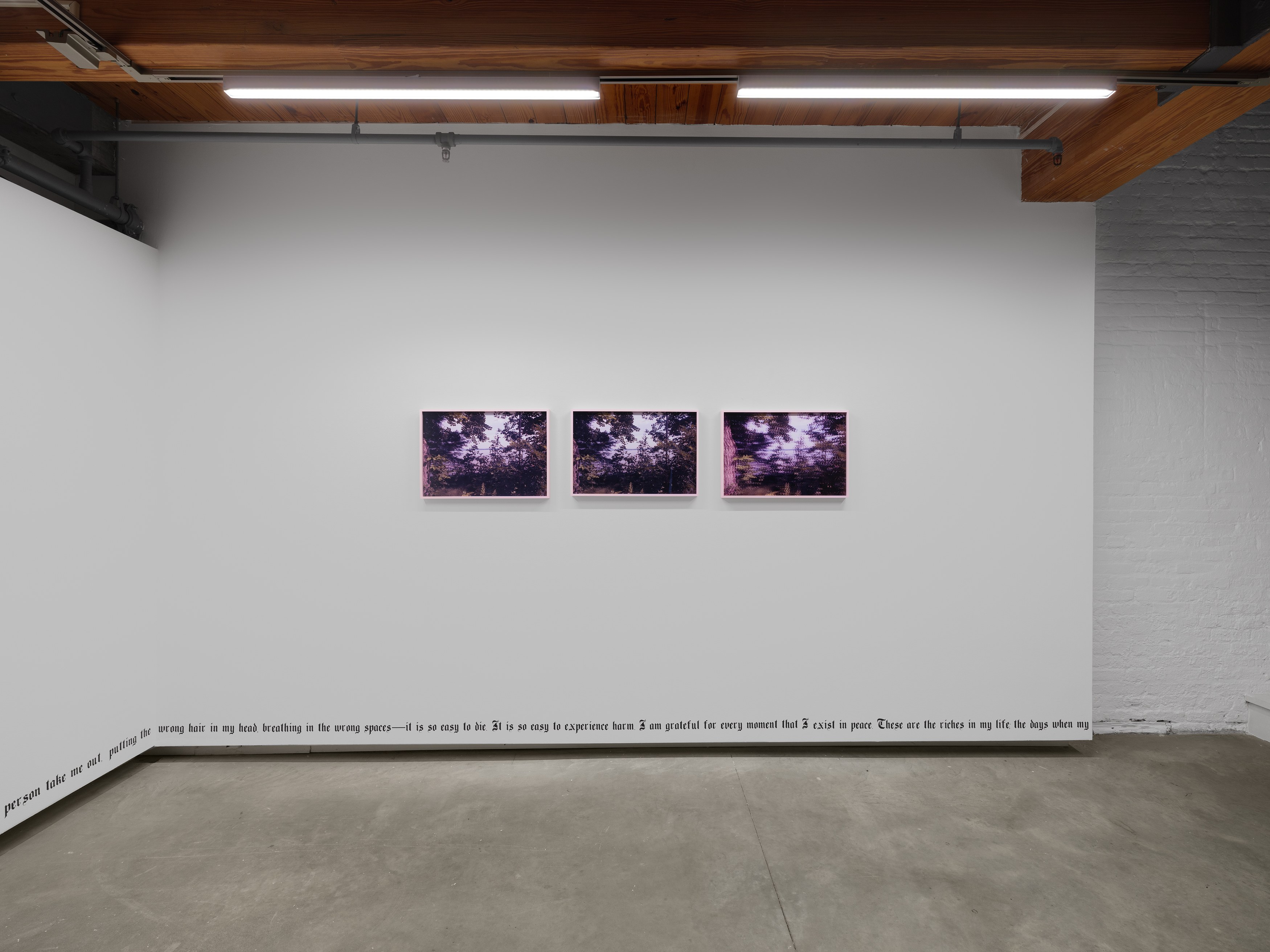 E. Jane, Cryptid or let the body be at anonymous gallery, photo 2