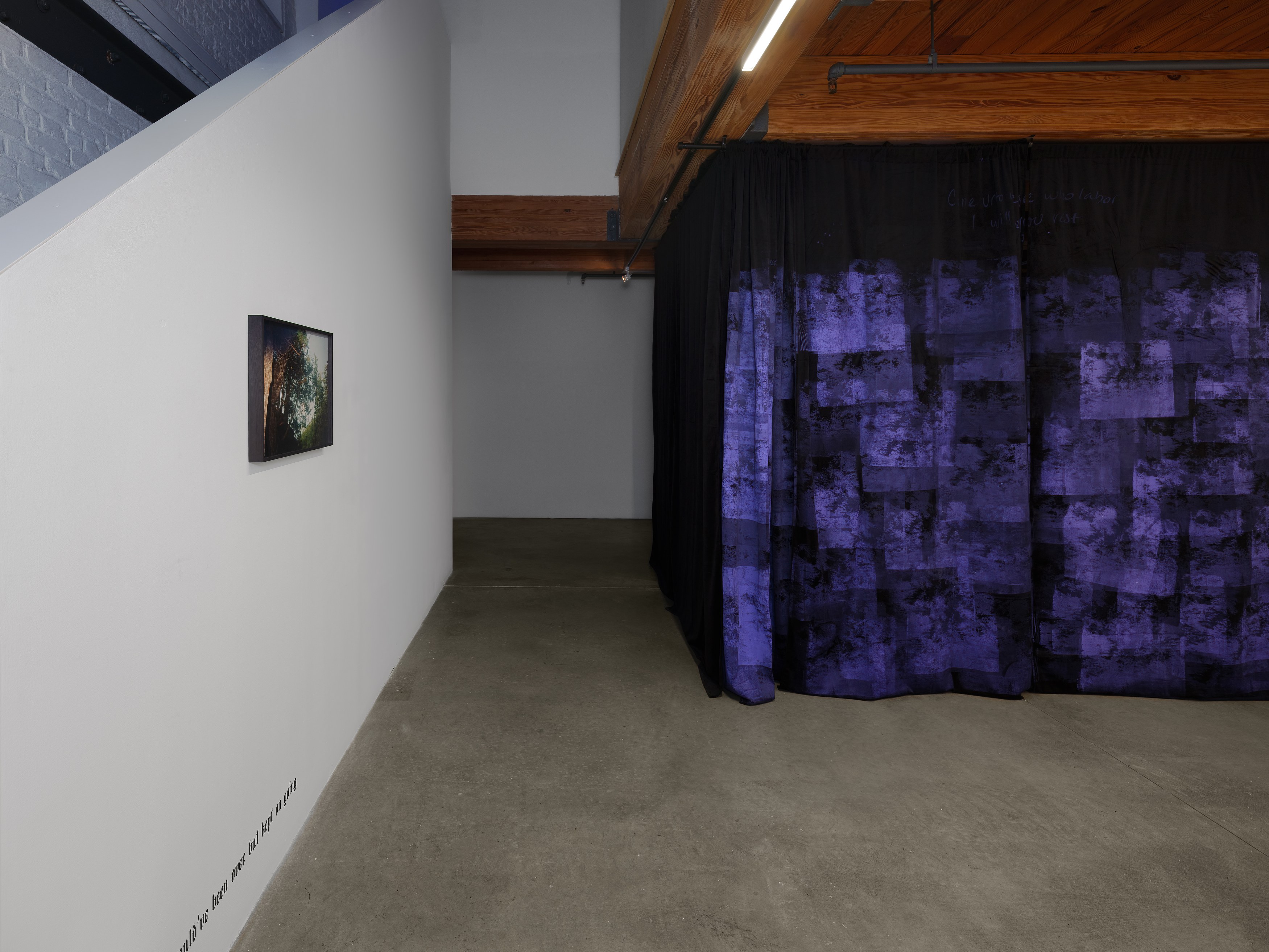 E. Jane, Cryptid or let the body be at anonymous gallery, photo 4