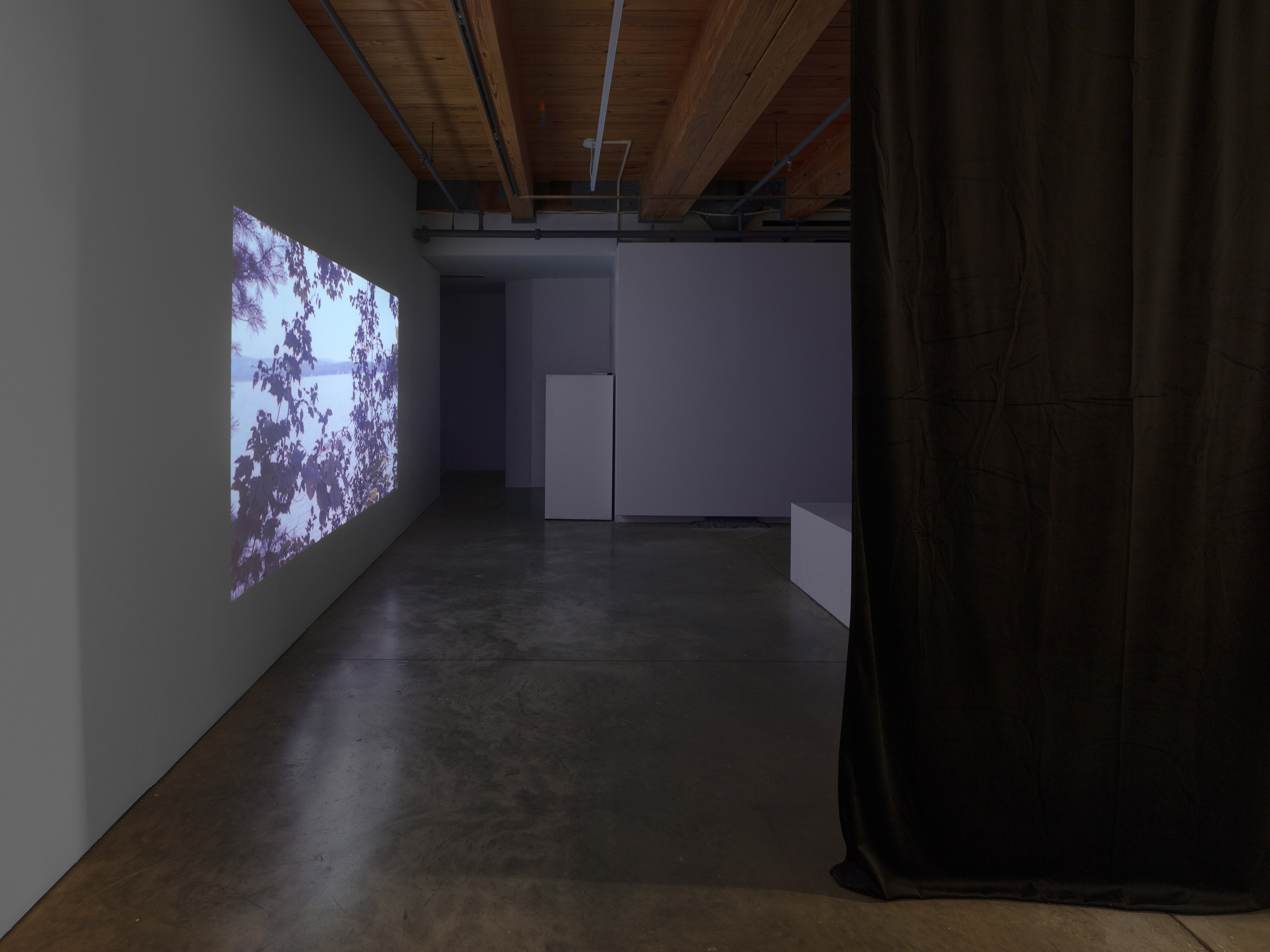 E. Jane, Cryptid or let the body be at anonymous gallery, photo 6