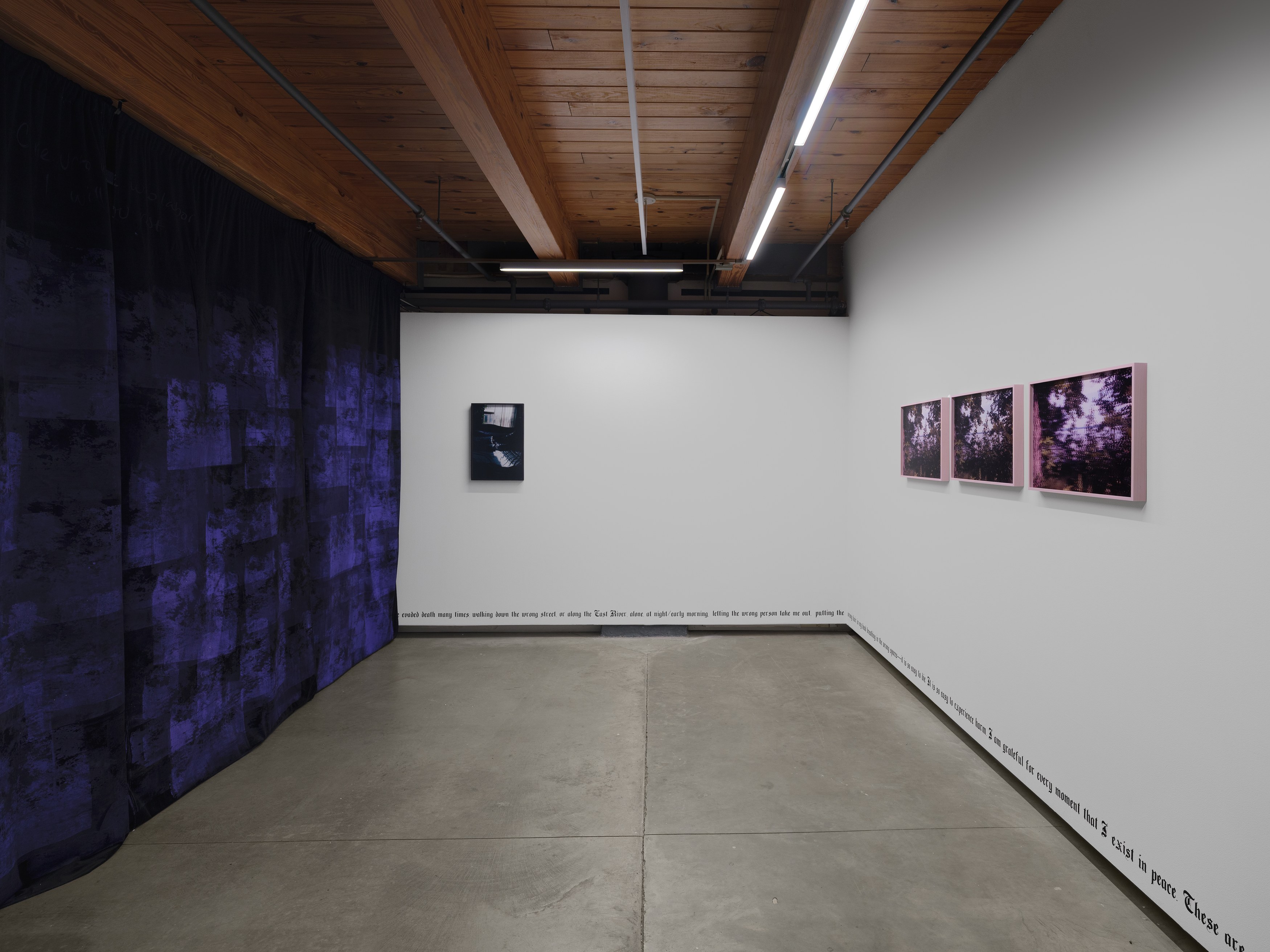 E. Jane, Cryptid or let the body be at anonymous gallery, photo 3