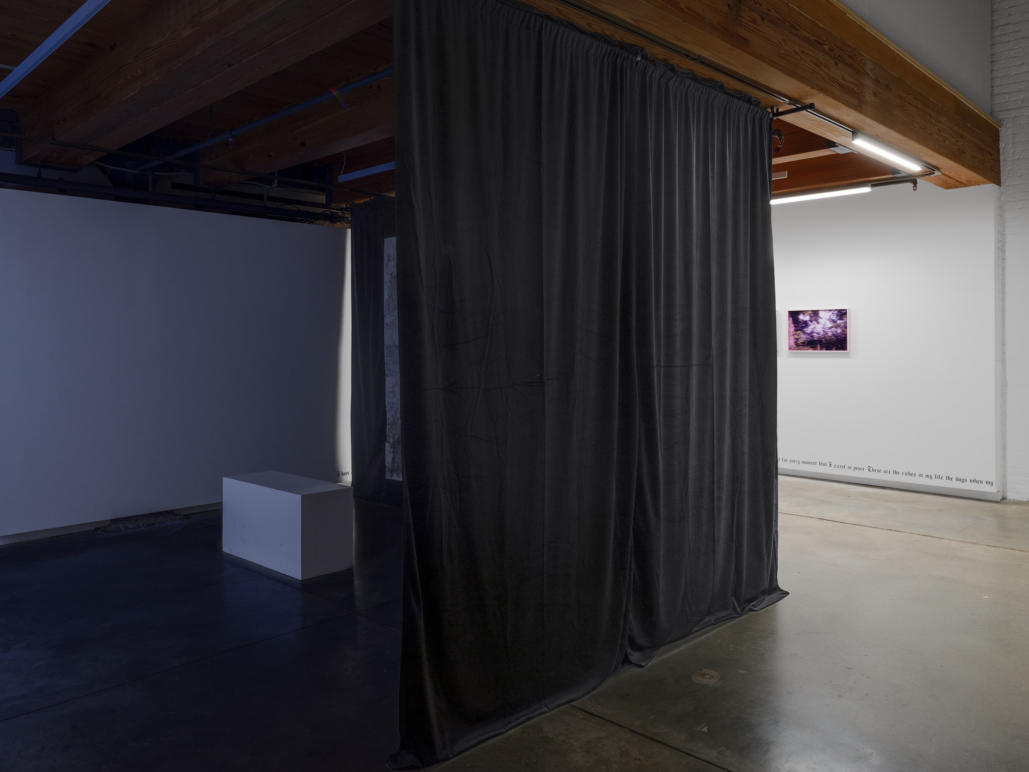 E. Jane, Cryptid or let the body be at anonymous gallery, photo 5