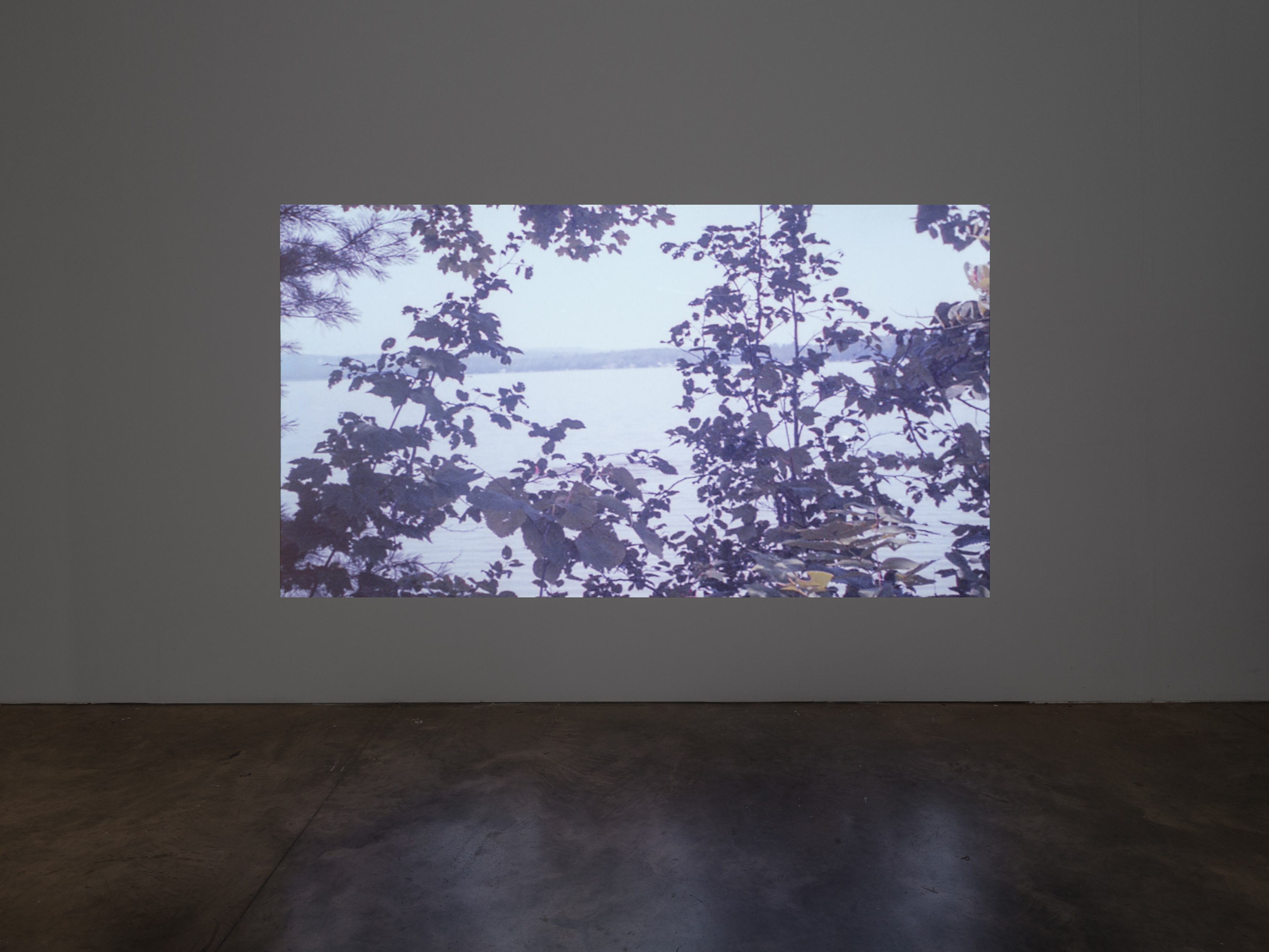 E. Jane, Cryptid or let the body be at anonymous gallery, photo 7