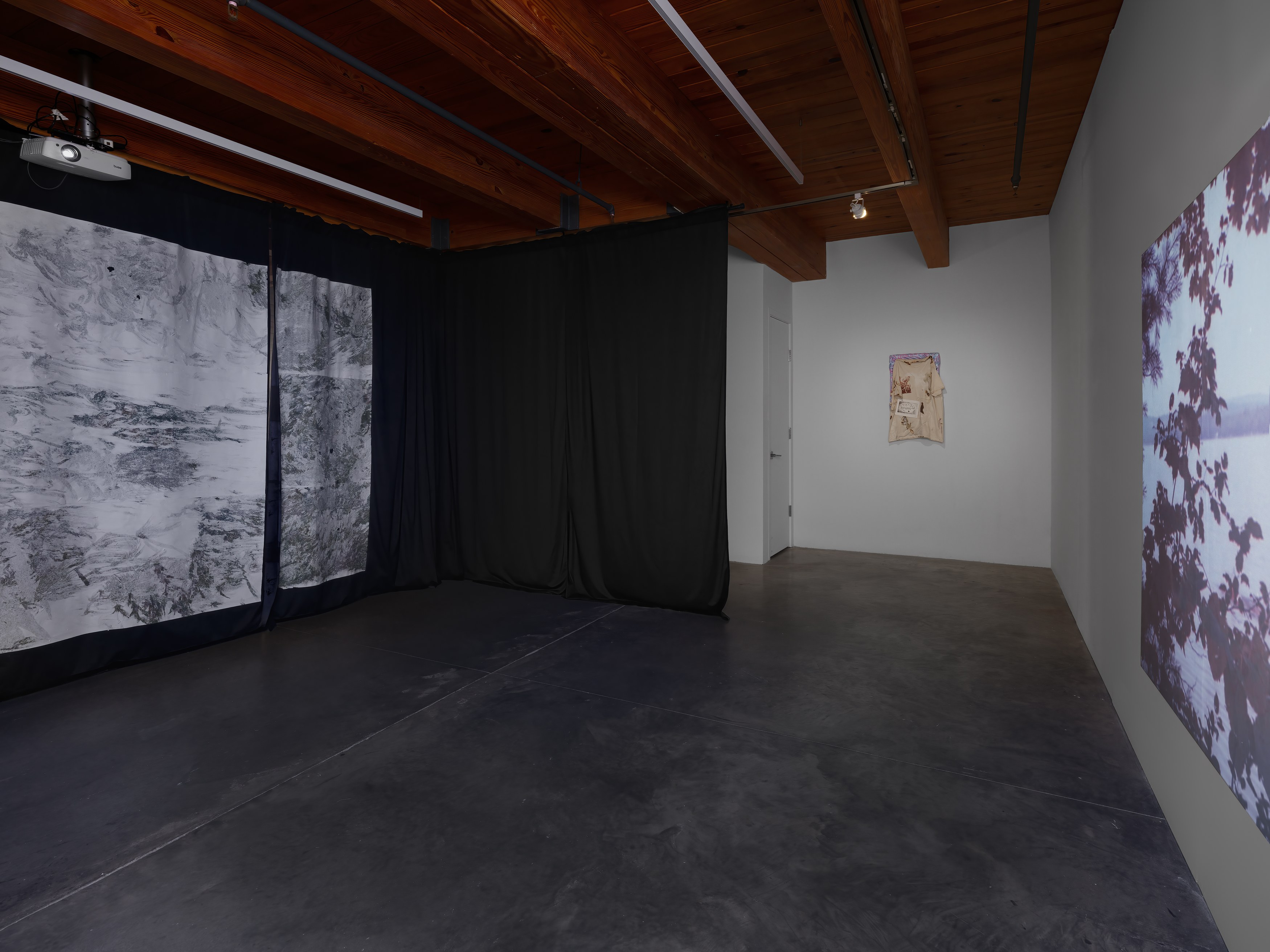 E. Jane, Cryptid or let the body be at anonymous gallery, photo 9