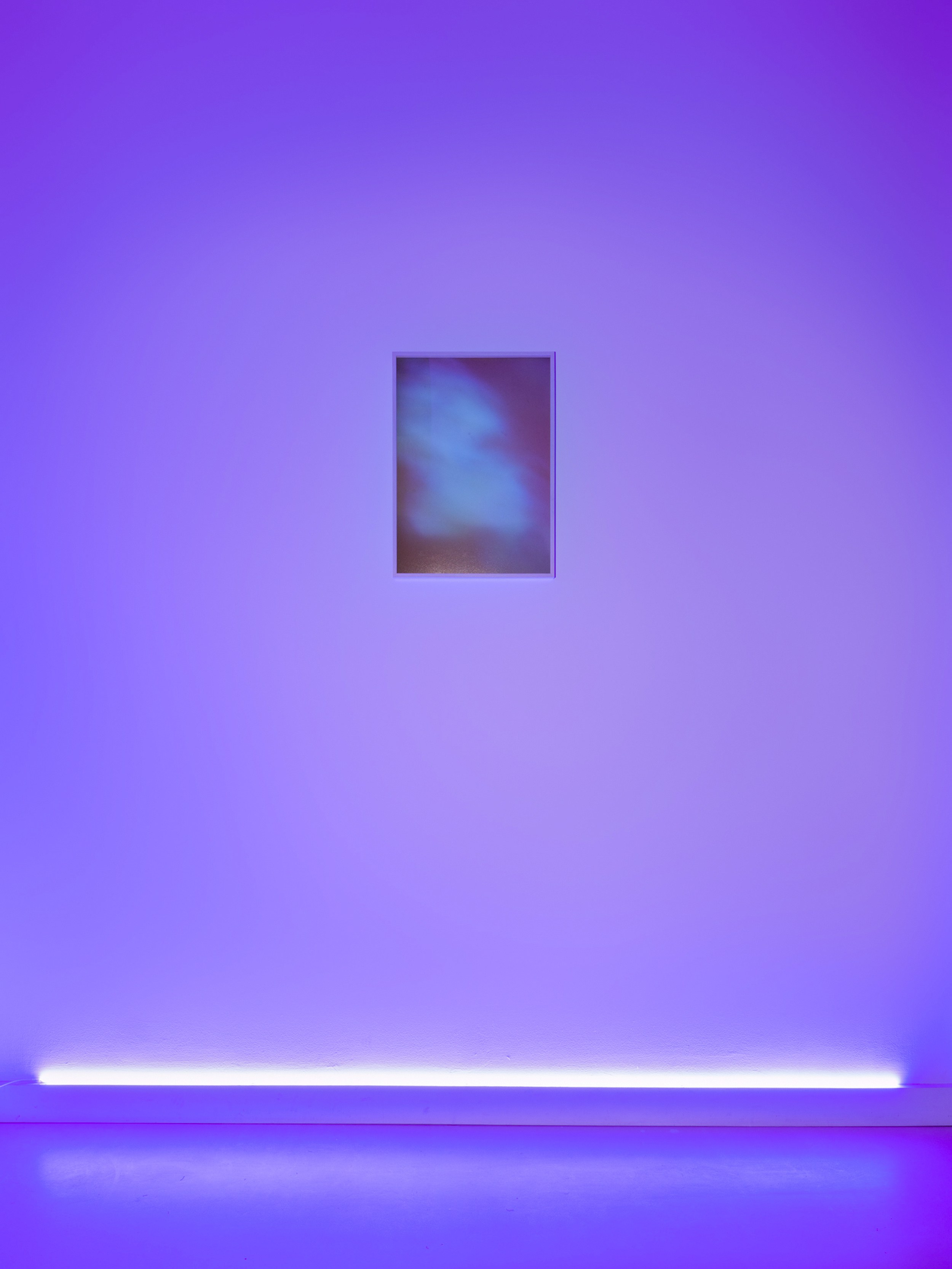 E. Jane, Cryptid or let the body be at anonymous gallery, photo 12
